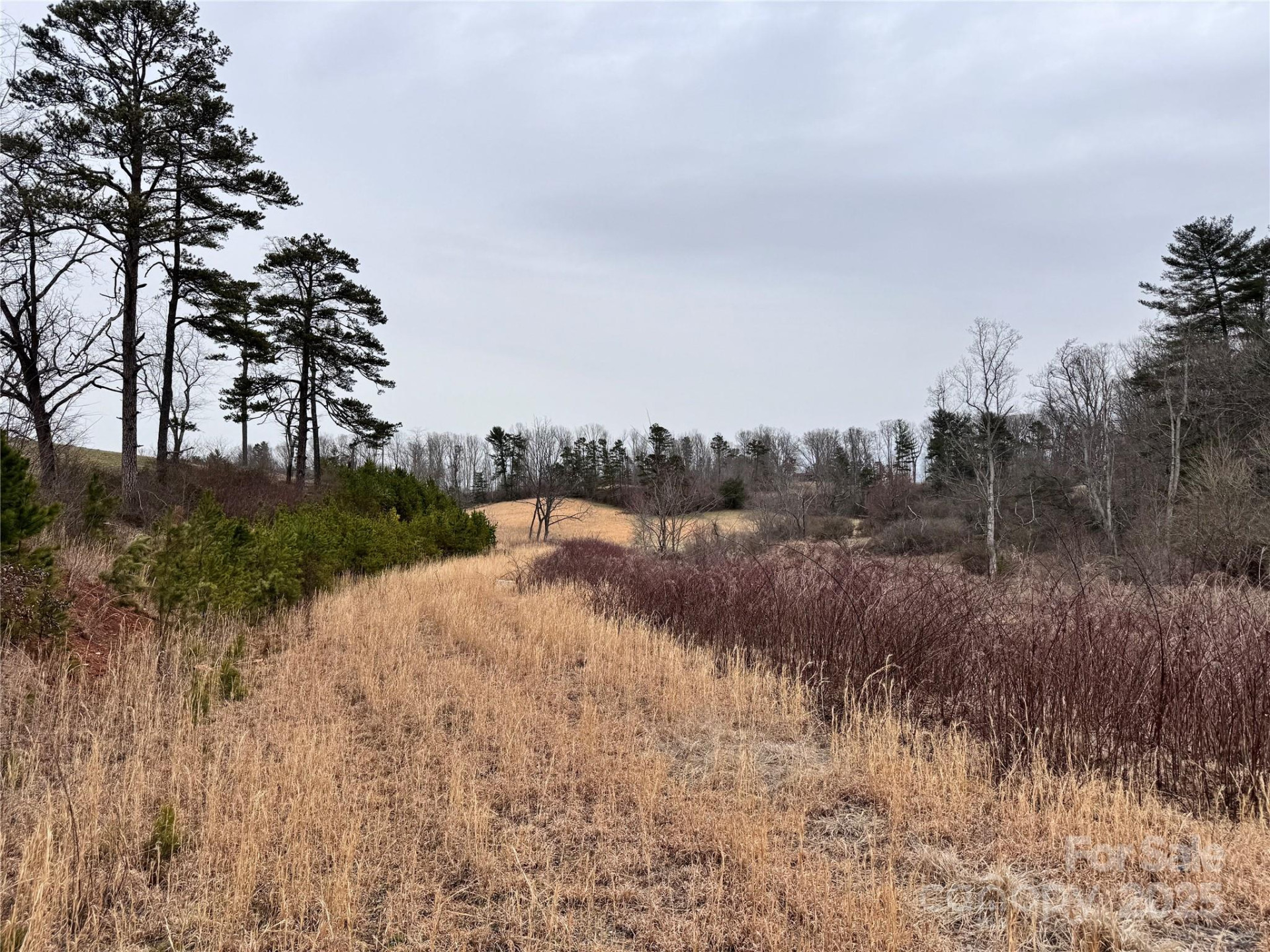 38 Flourish Farm Lane - Photo 16