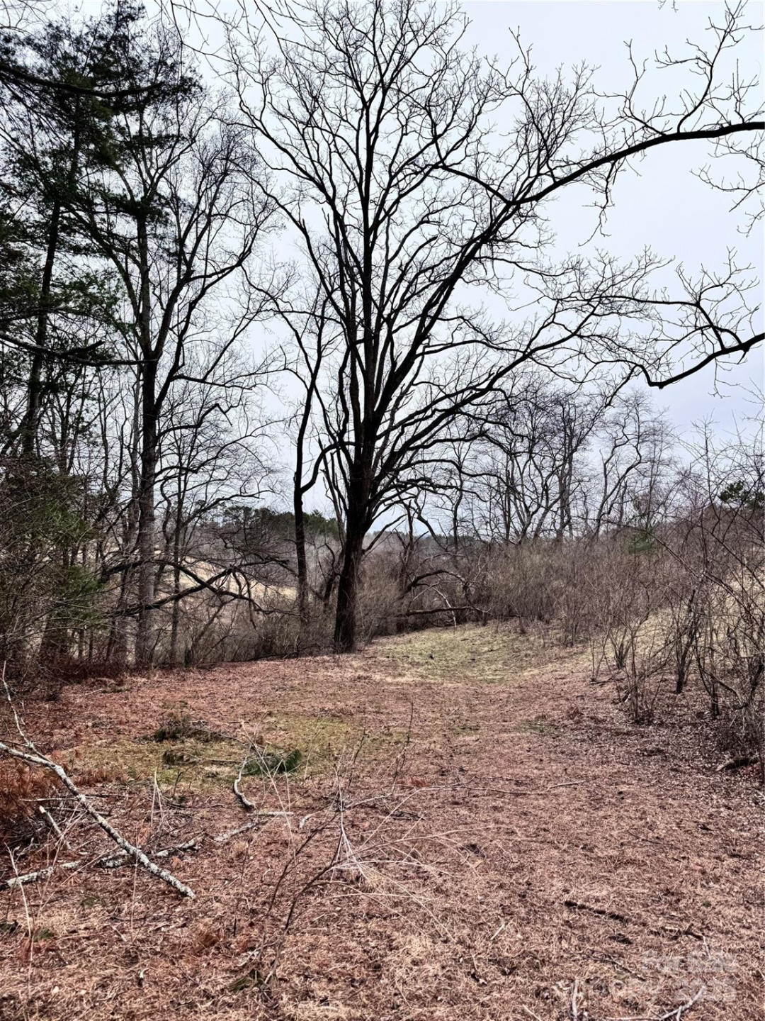 38 Flourish Farm Lane - Photo 19