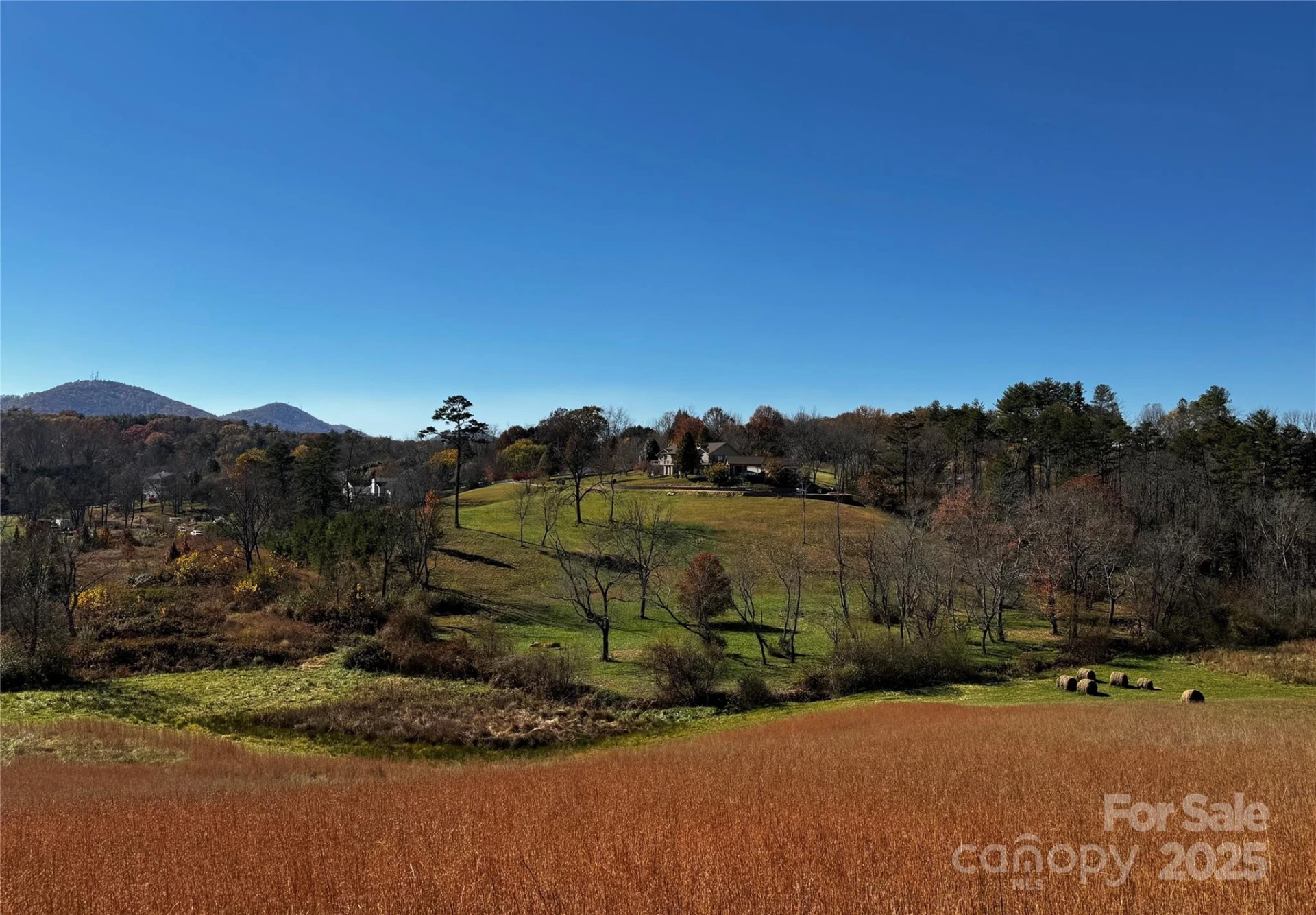 38 Flourish Farm Lane - Photo 3