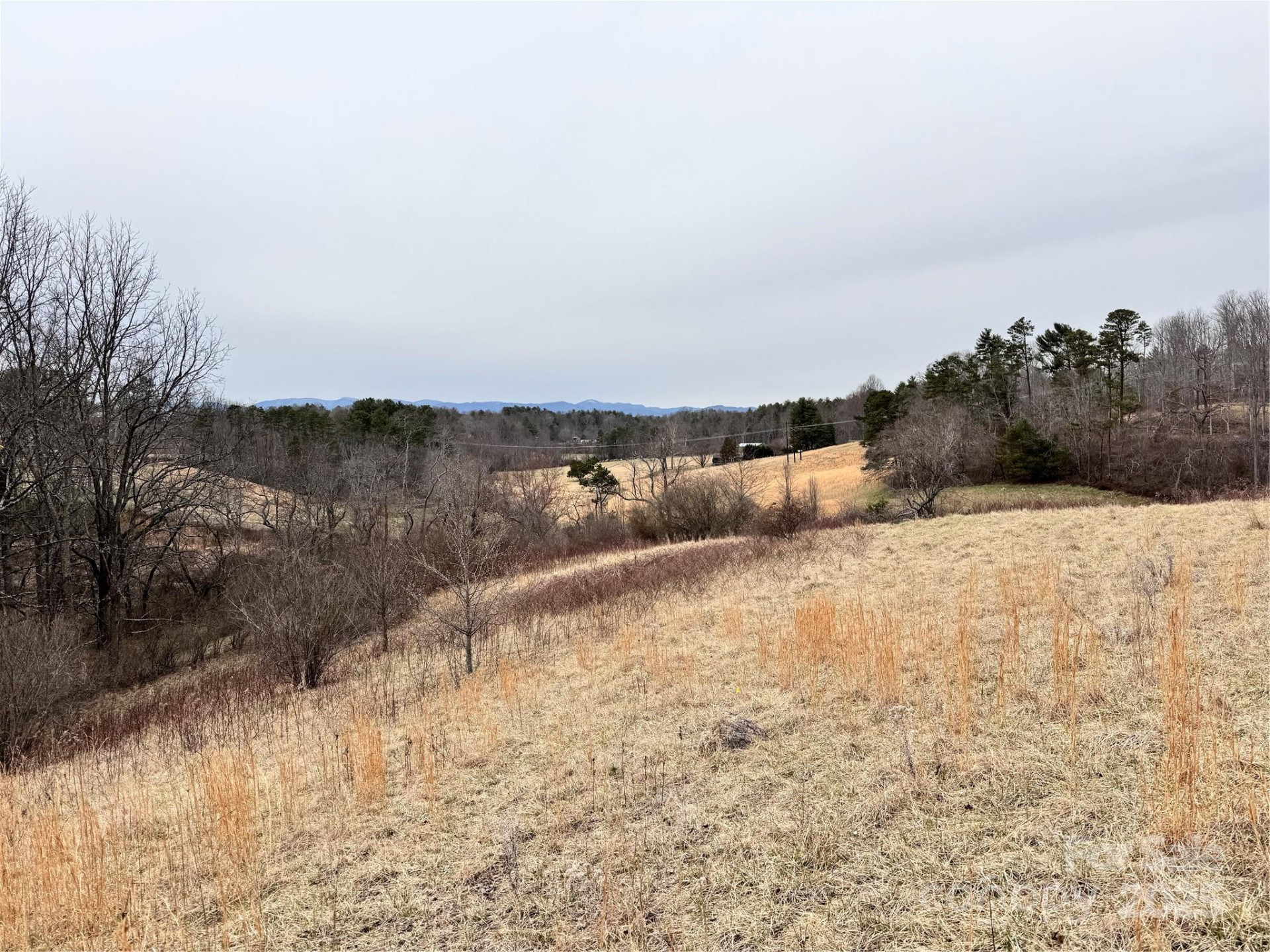 38 Flourish Farm Lane - Photo 21