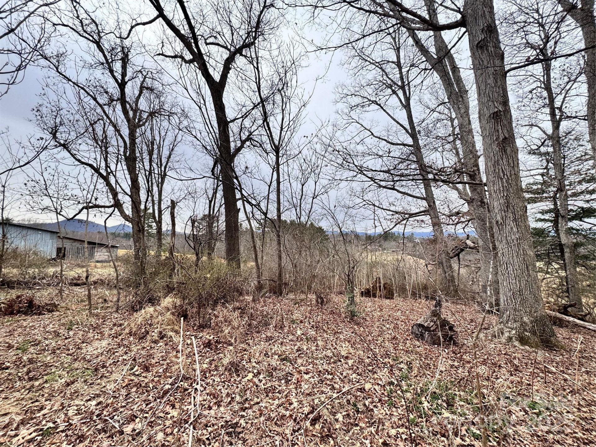 38 Flourish Farm Lane - Photo 24