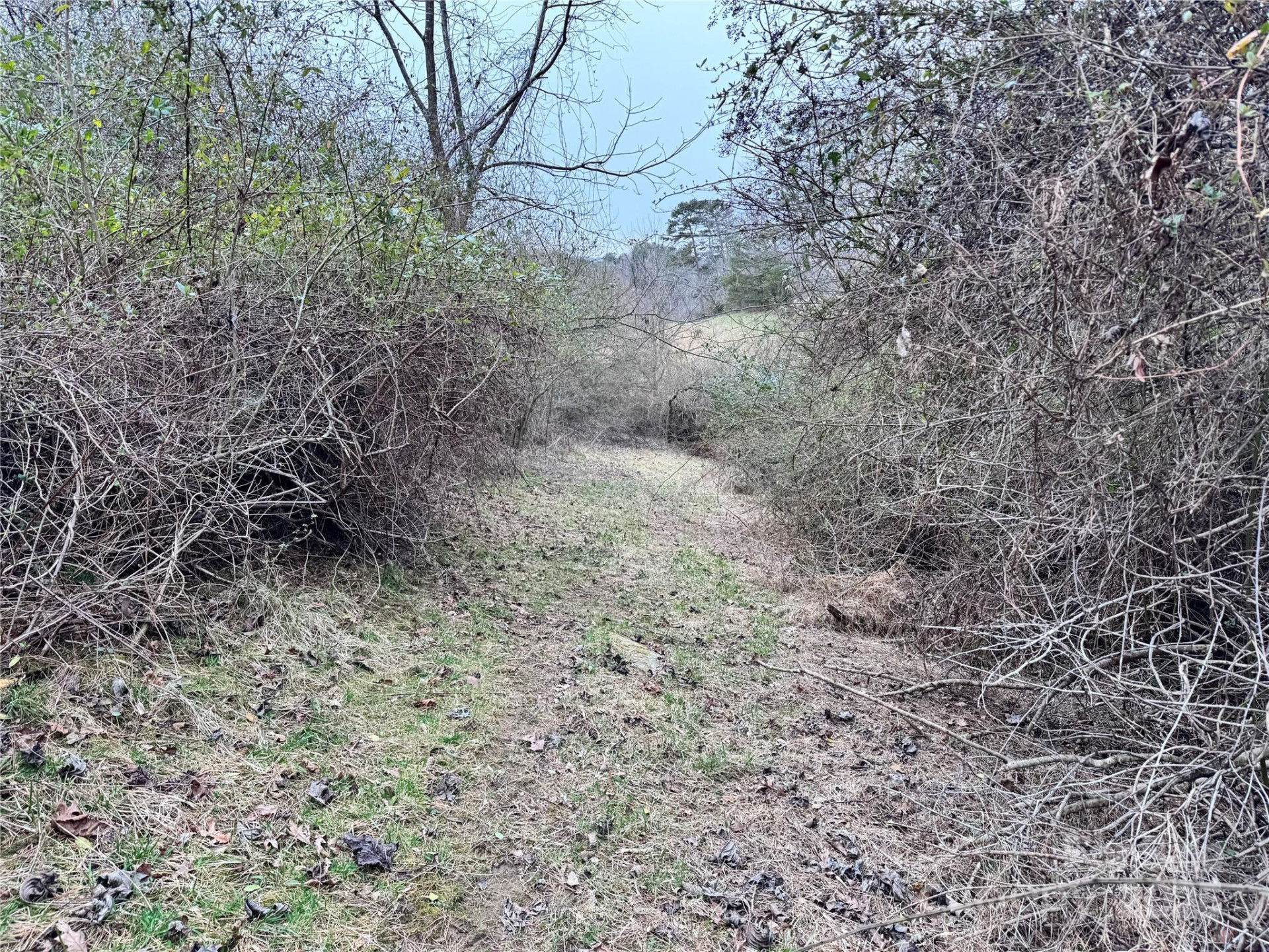 38 Flourish Farm Lane - Photo 25