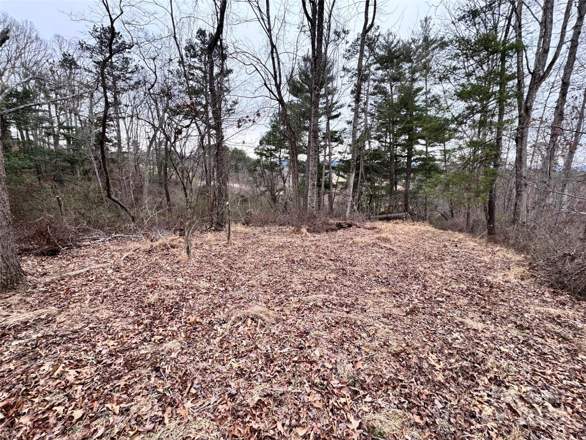 38 Flourish Farm Lane - Photo 27