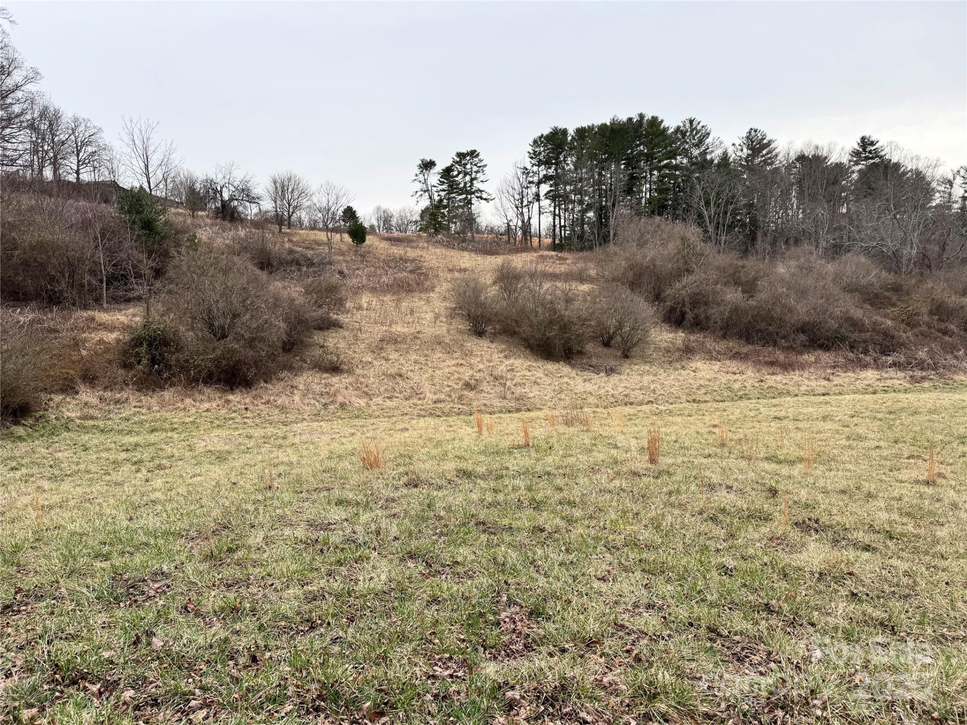 38 Flourish Farm Lane - Photo 28