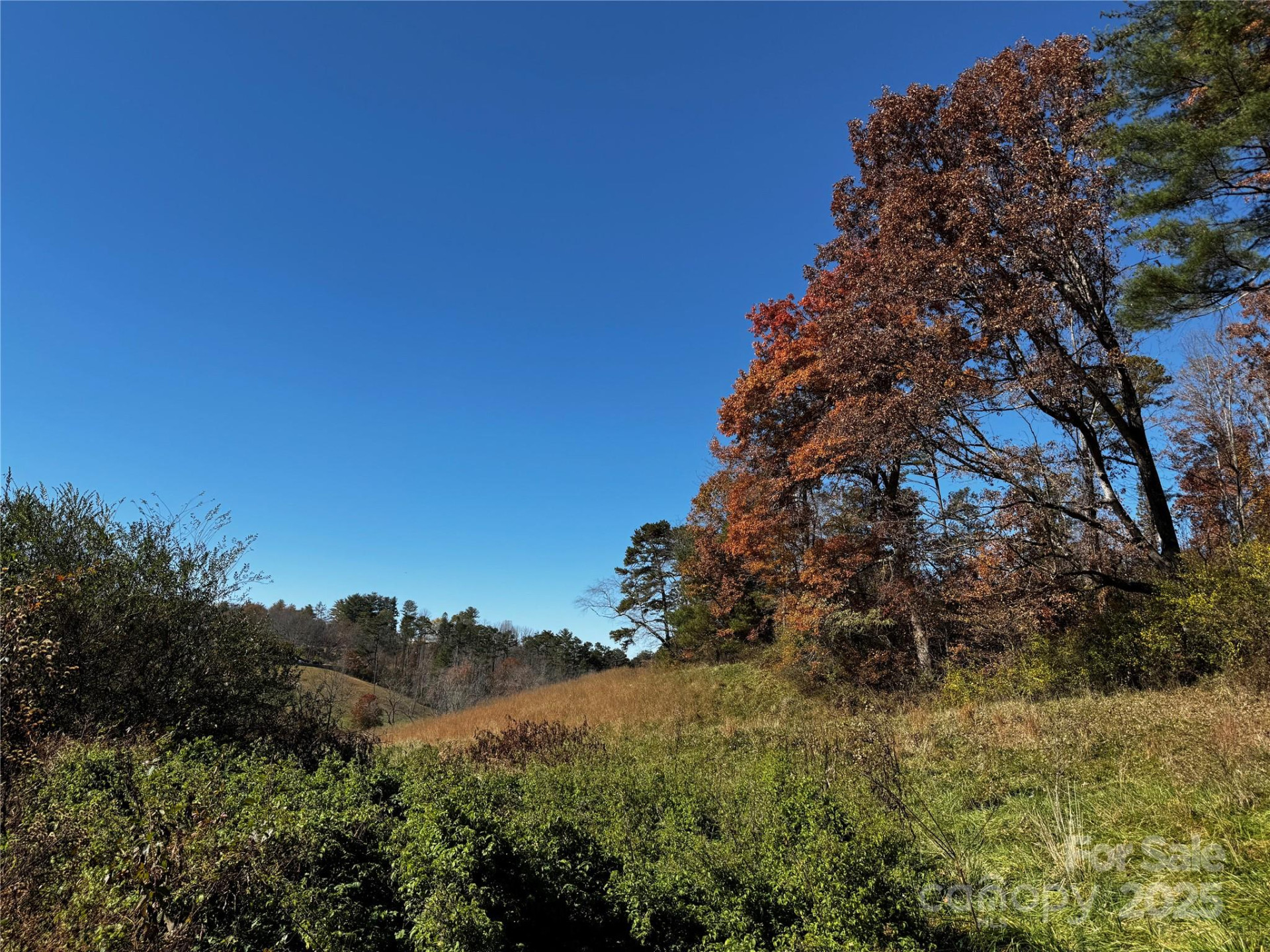38 Flourish Farm Lane - Photo 4