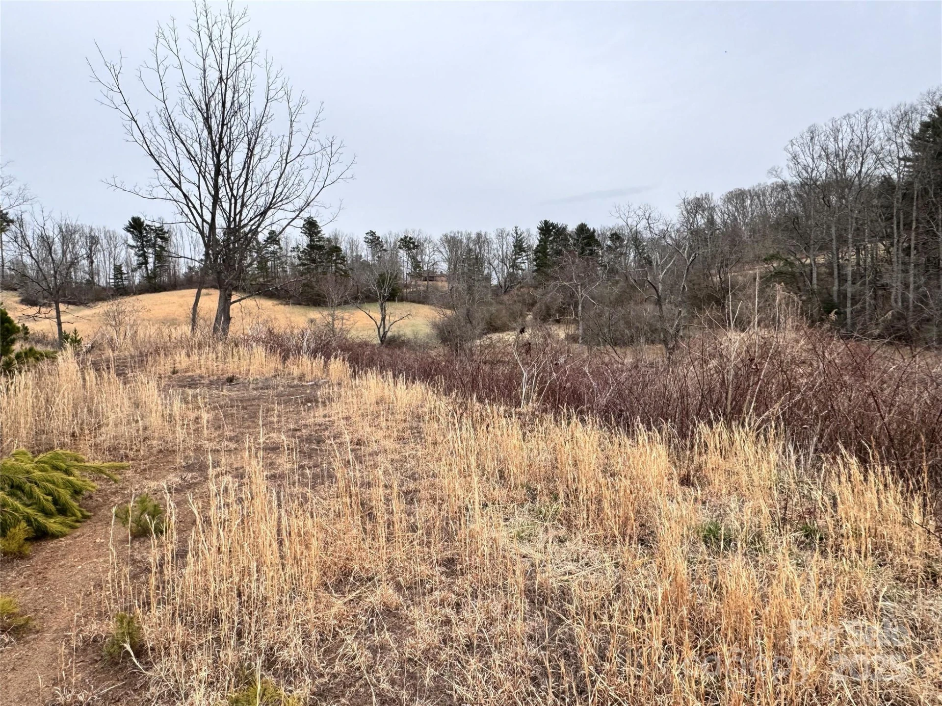 38 Flourish Farm Lane - Photo 35