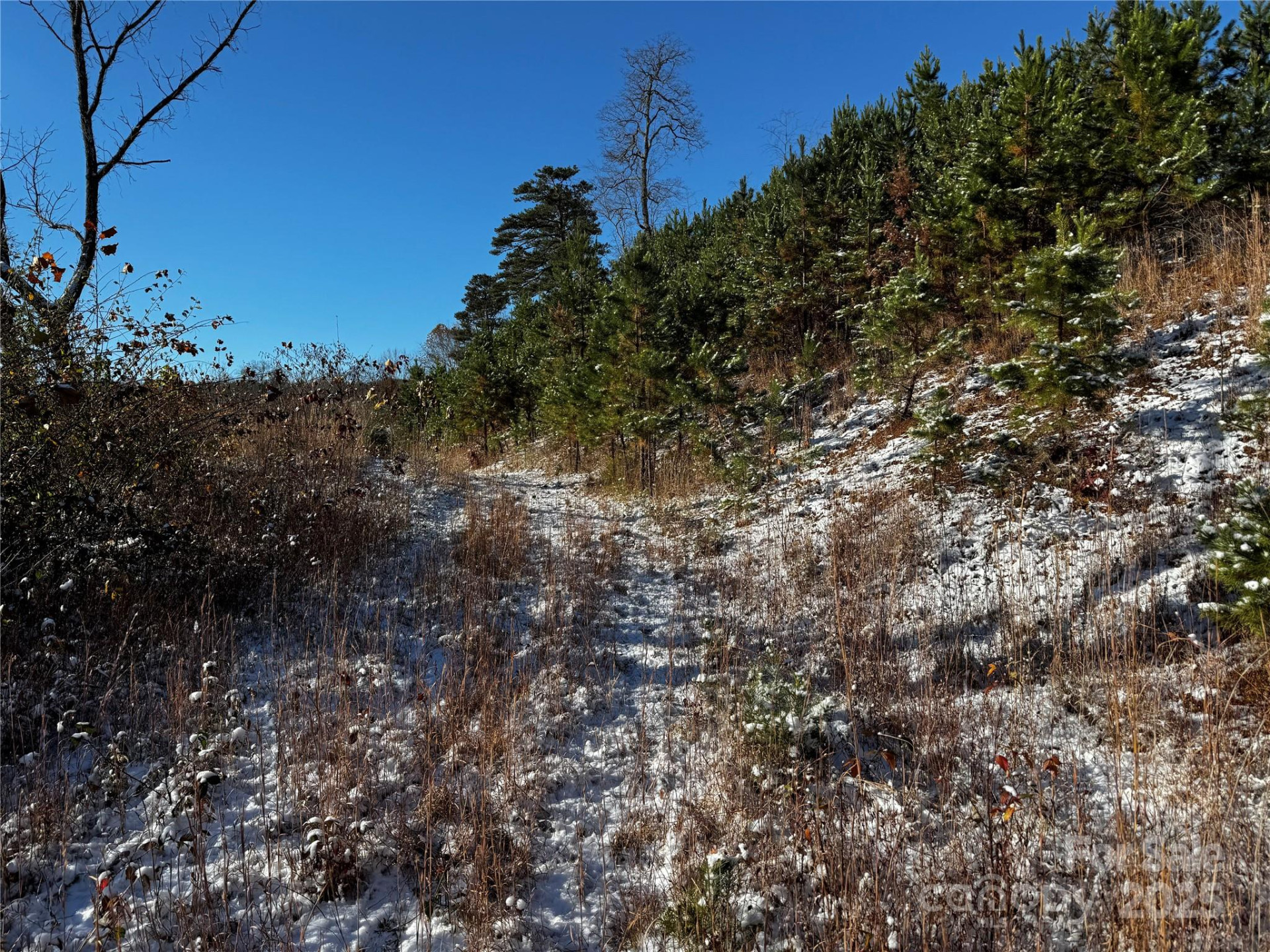 38 Flourish Farm Lane - Photo 36