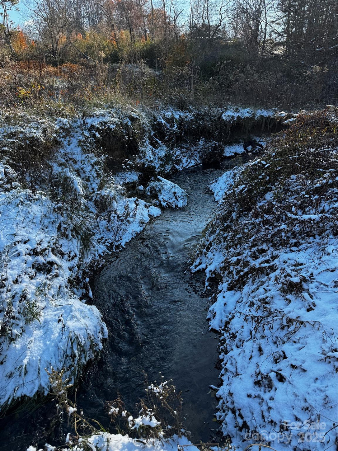 38 Flourish Farm Lane - Photo 37