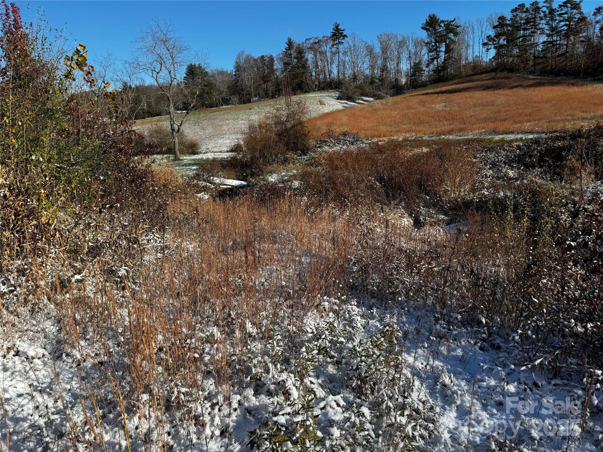 38 Flourish Farm Lane - Photo 38