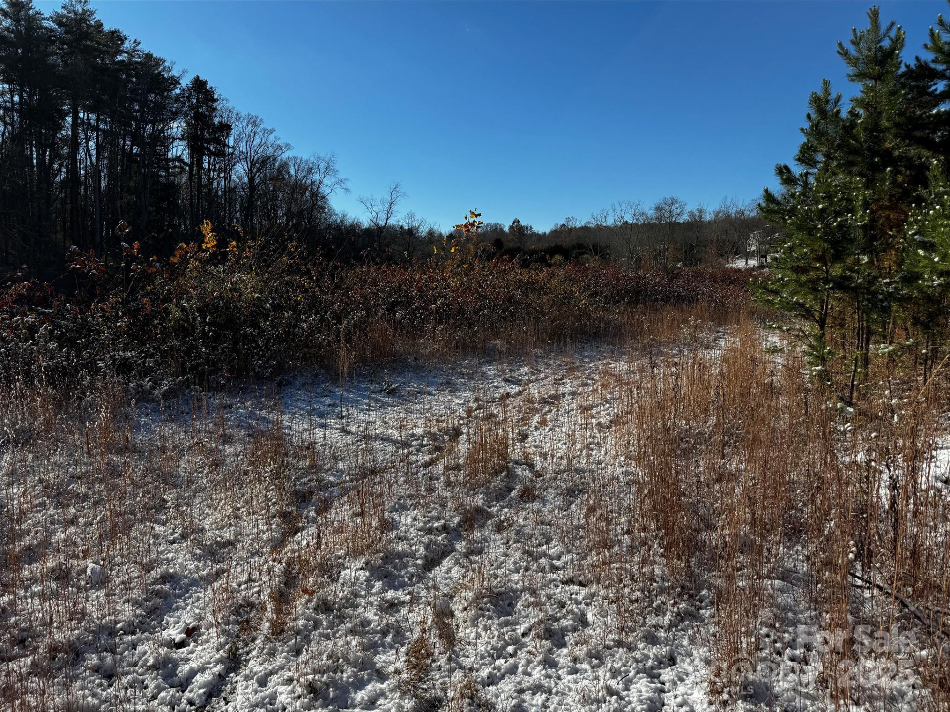 38 Flourish Farm Lane - Photo 39