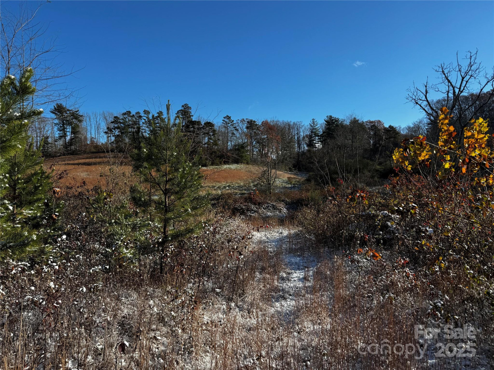 38 Flourish Farm Lane - Photo 40