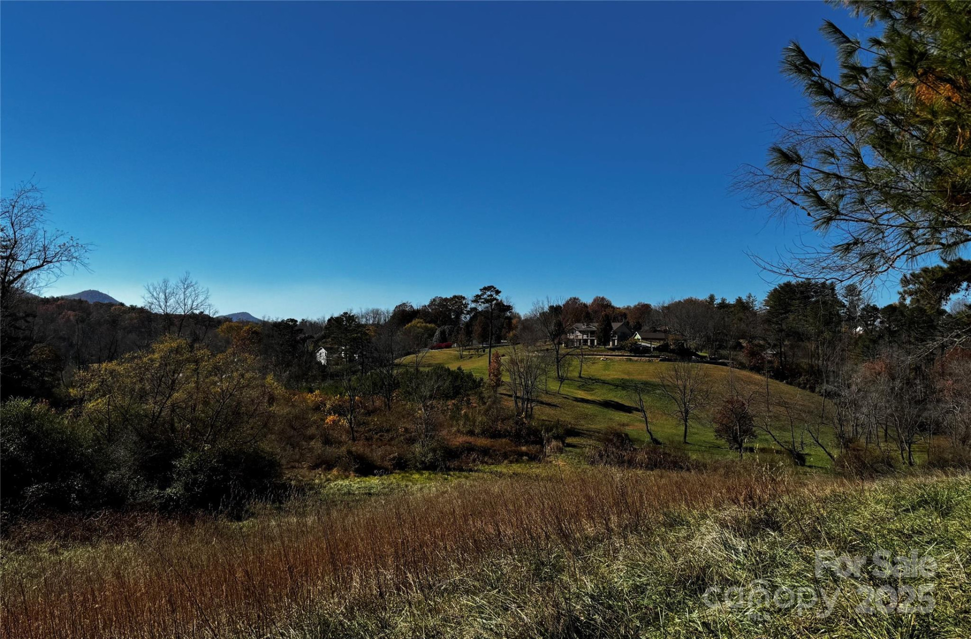38 Flourish Farm Lane - Photo 6