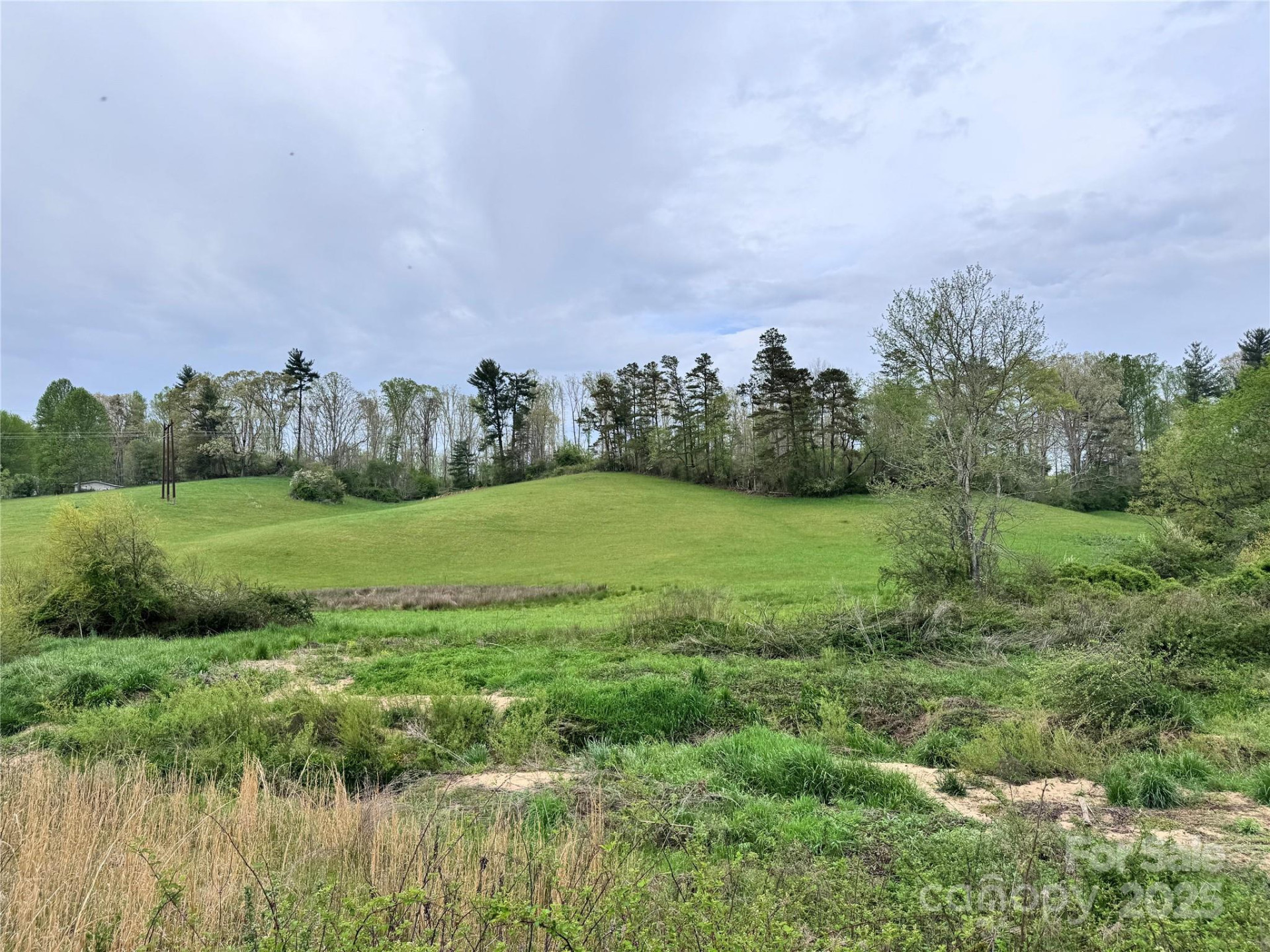 38 Flourish Farm Lane - Photo 8