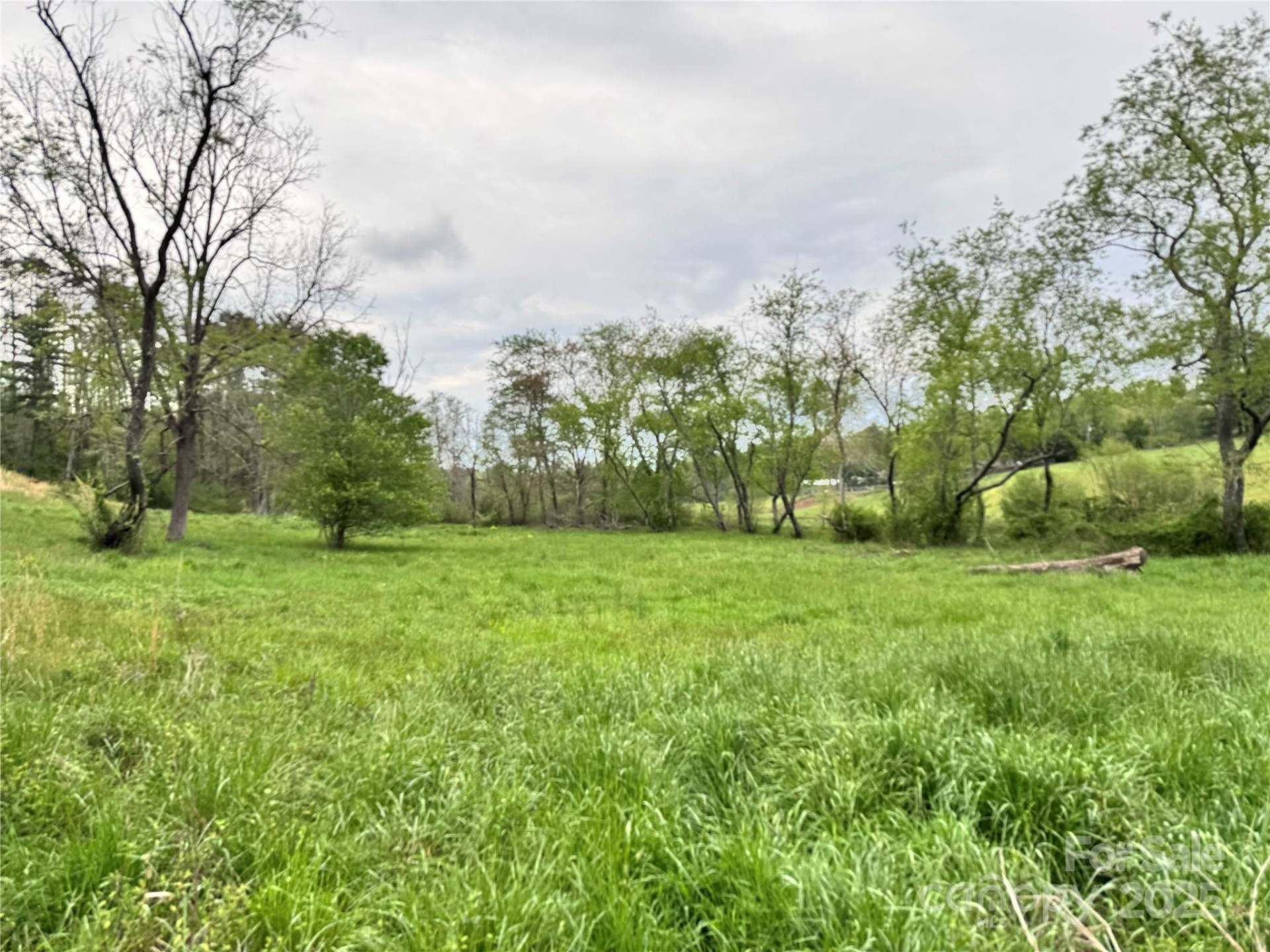 38 Flourish Farm Lane - Photo 9