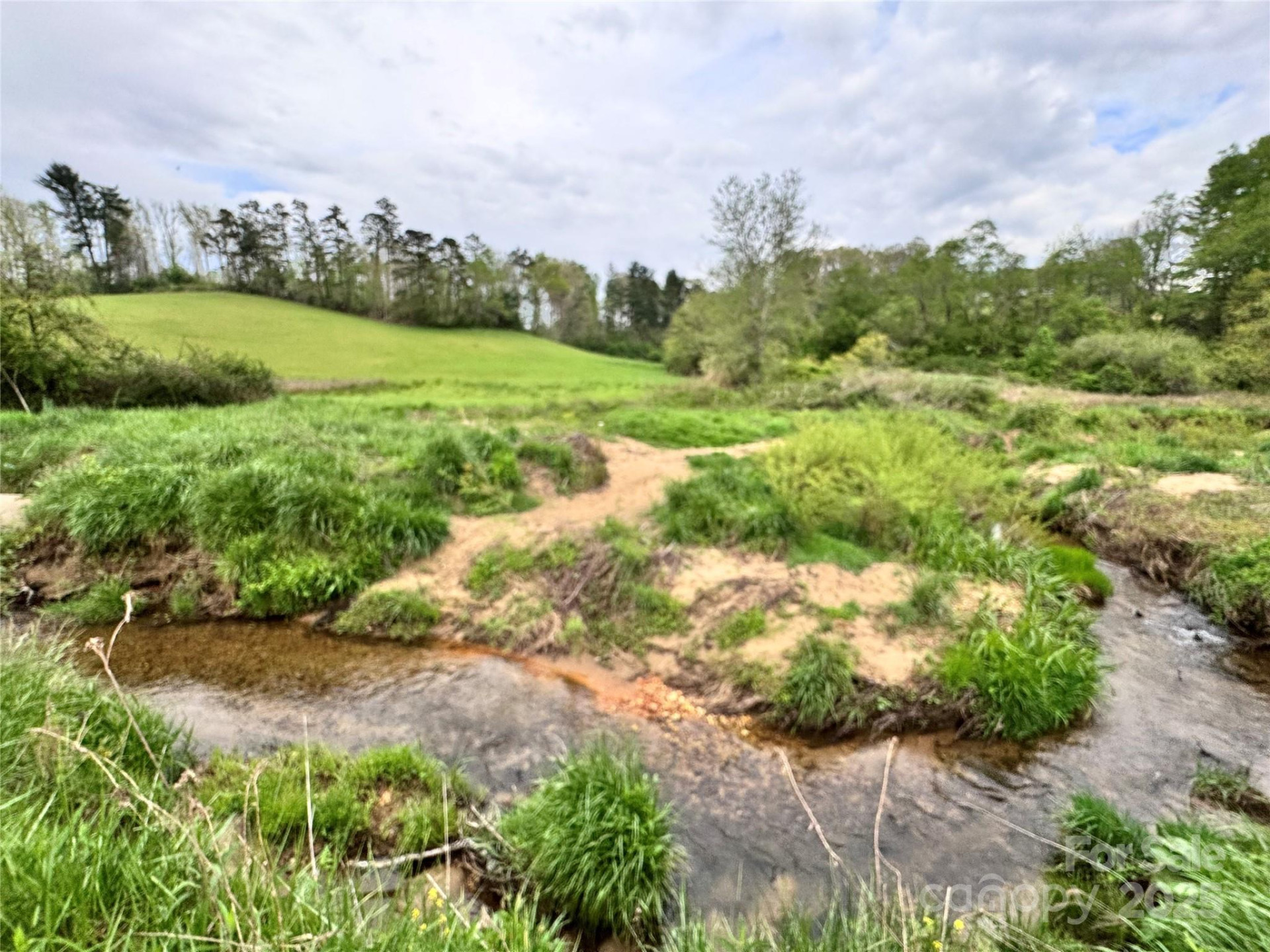 38 Flourish Farm Lane - Photo 10