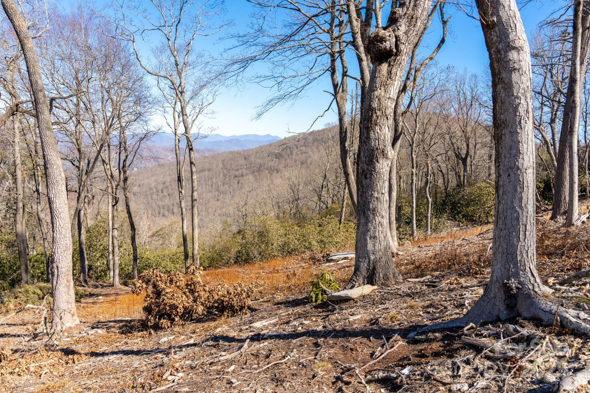 0000 East Garden Trail #13 - Photo 19