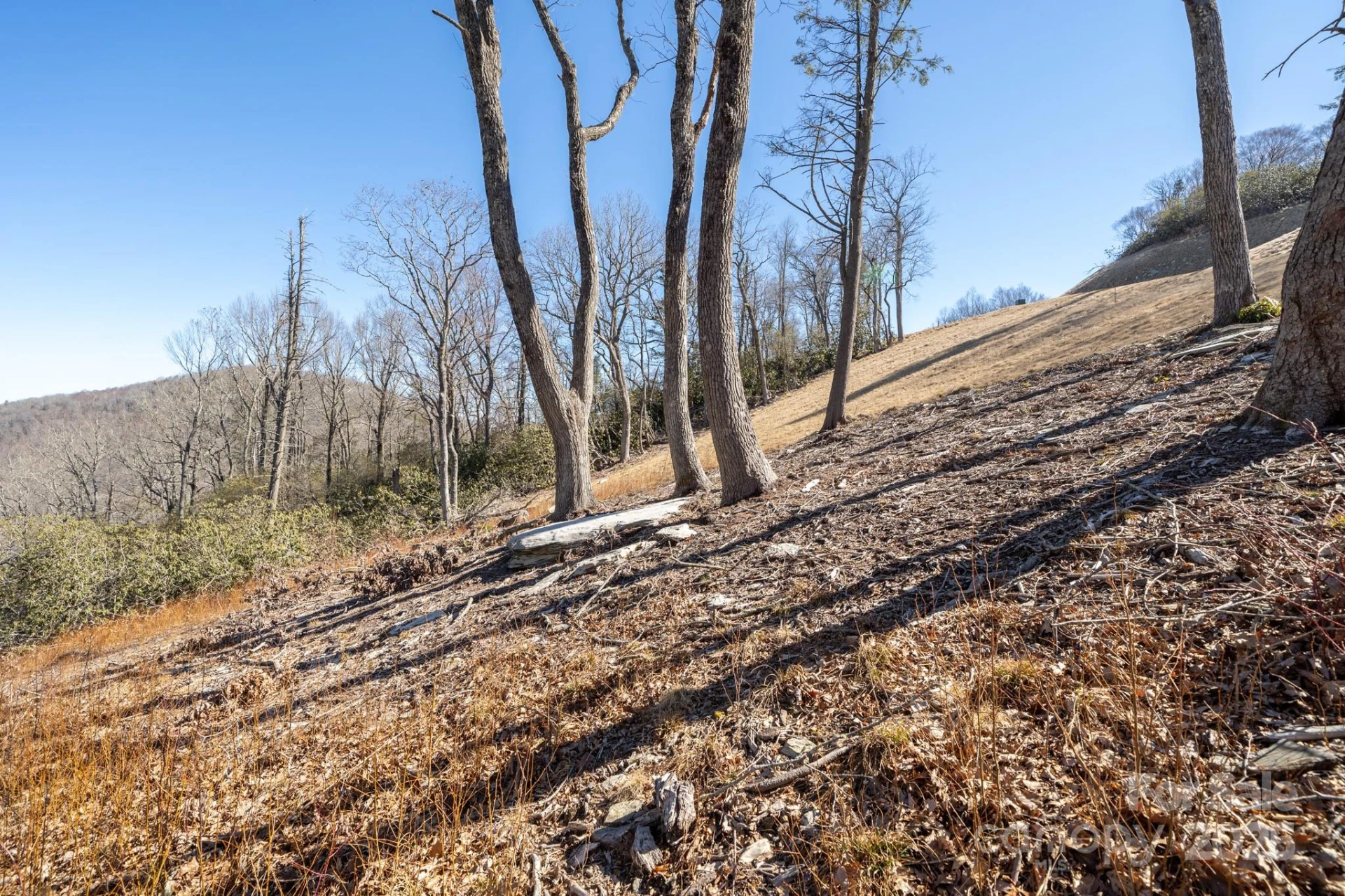0000 East Garden Trail #13 - Photo 24
