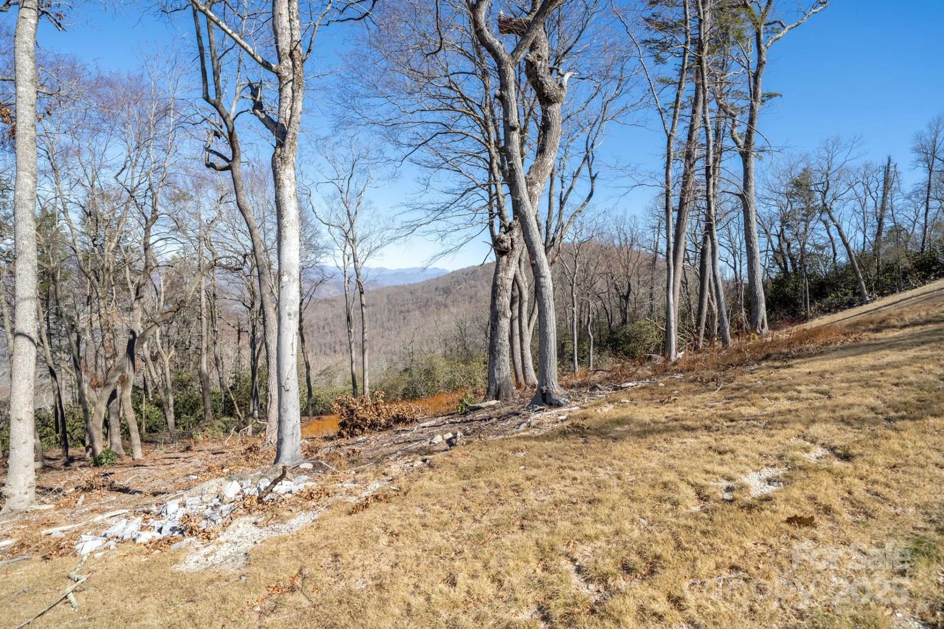 0000 East Garden Trail #13 - Photo 25