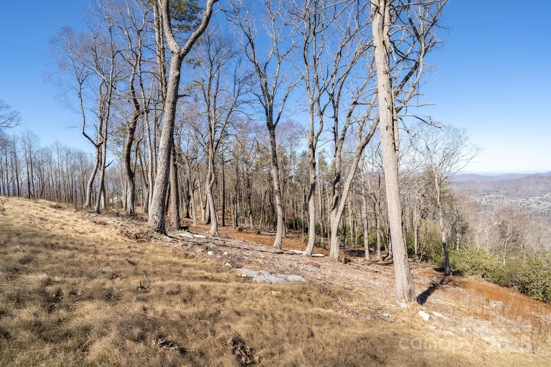 0000 East Garden Trail #13 - Photo 26