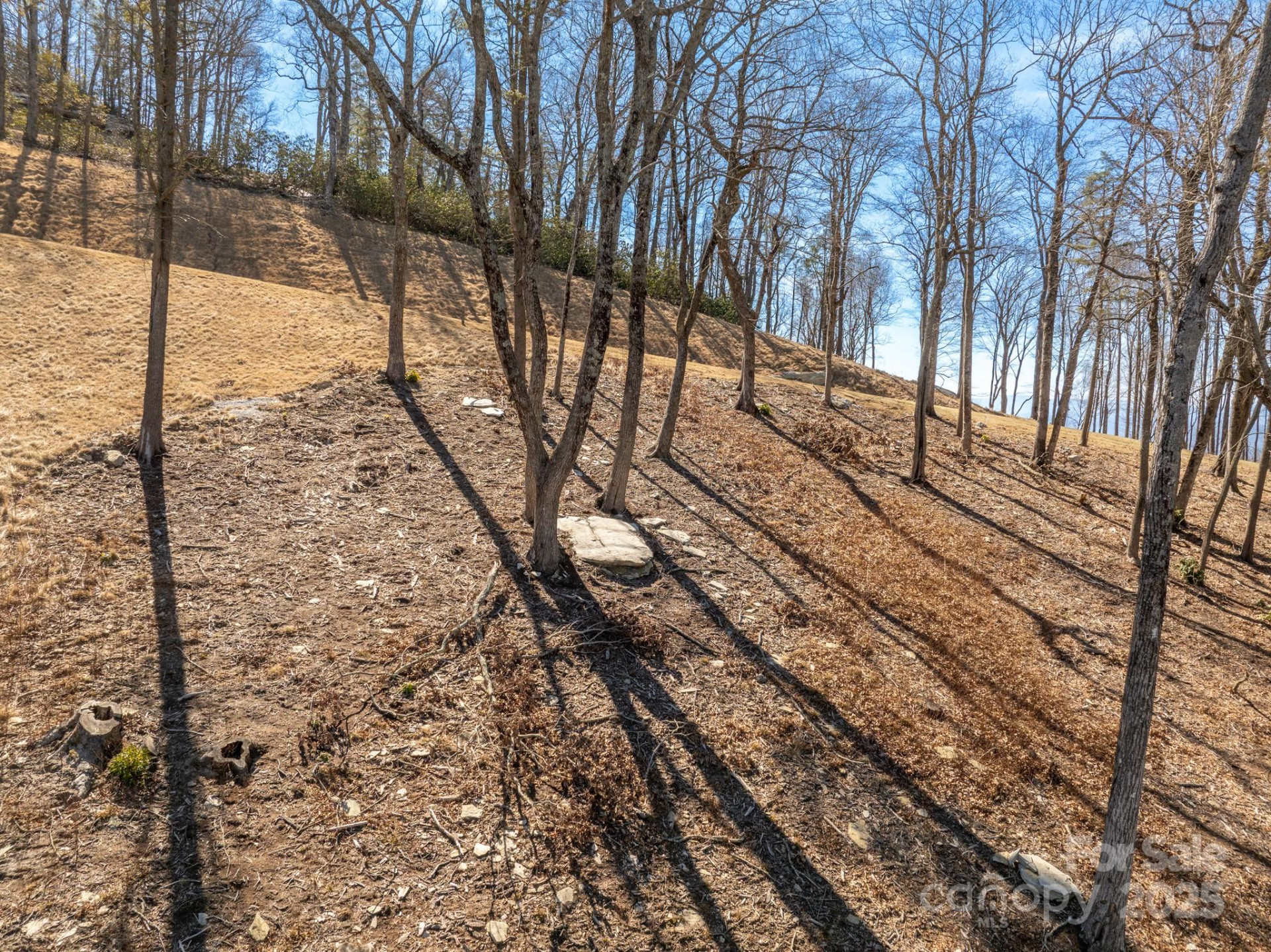 0000 East Garden Trail #13 - Photo 29