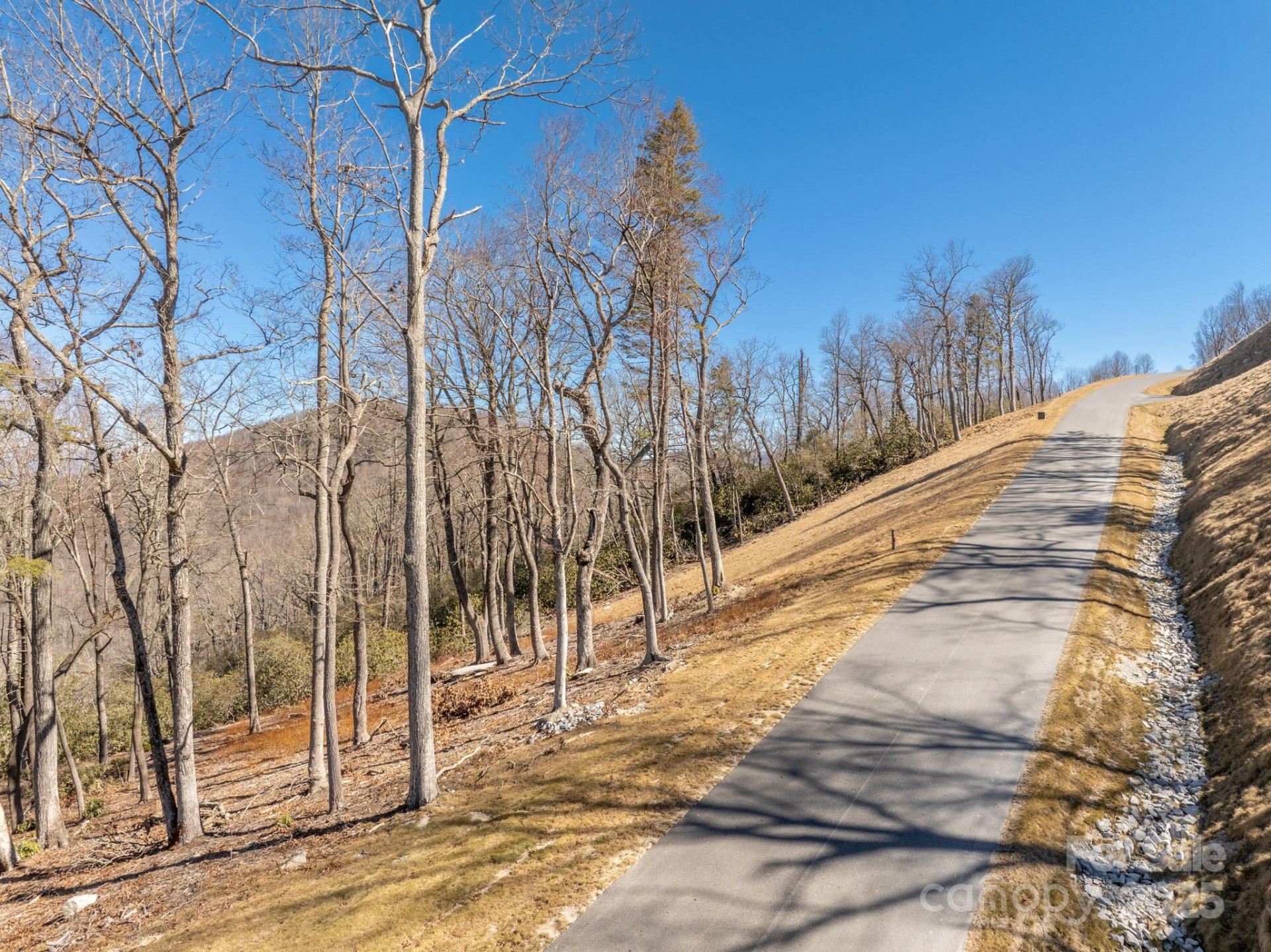 0000 East Garden Trail #13 - Photo 4