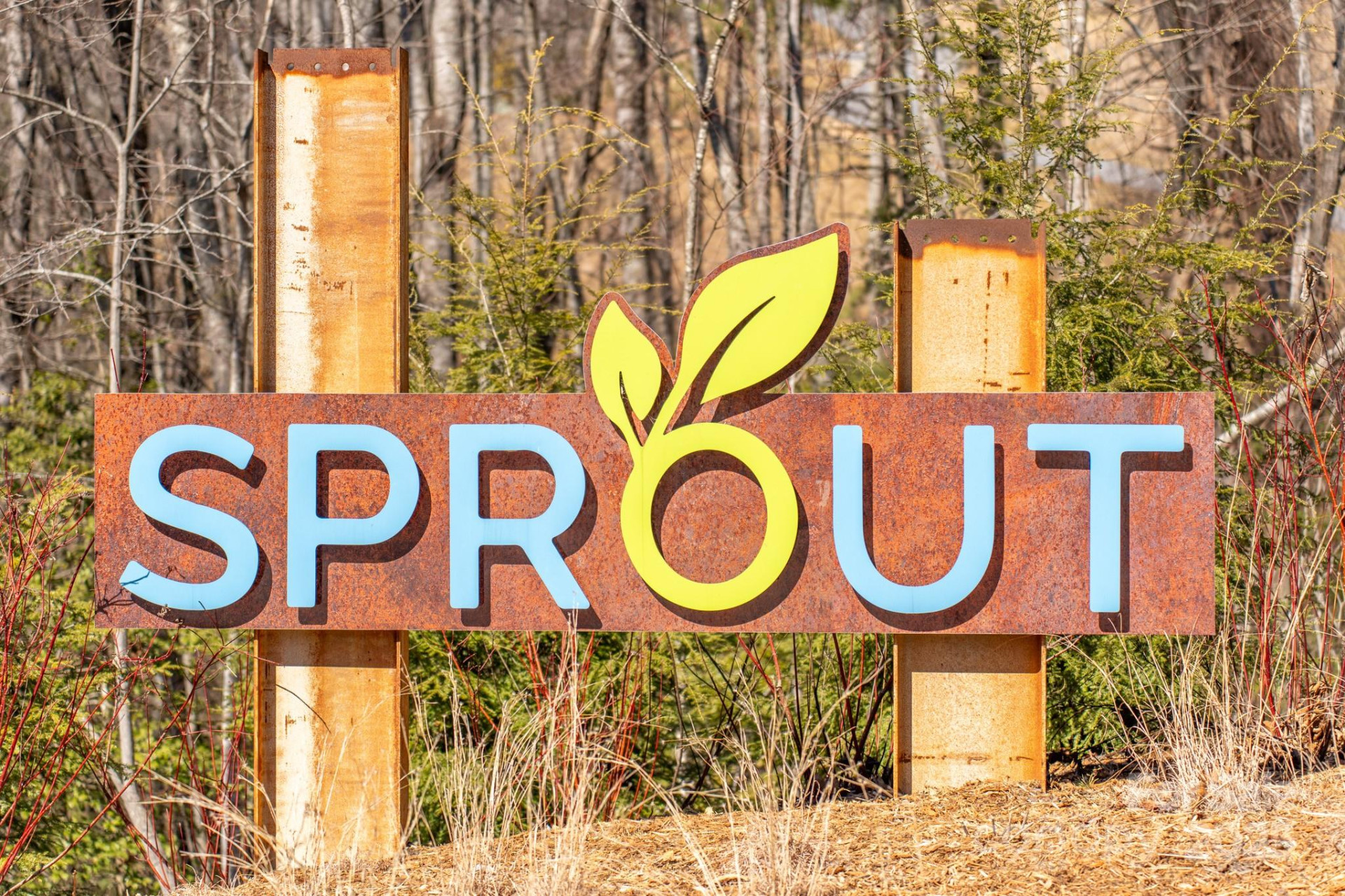 0000 East Garden Trail #13 - Photo 38