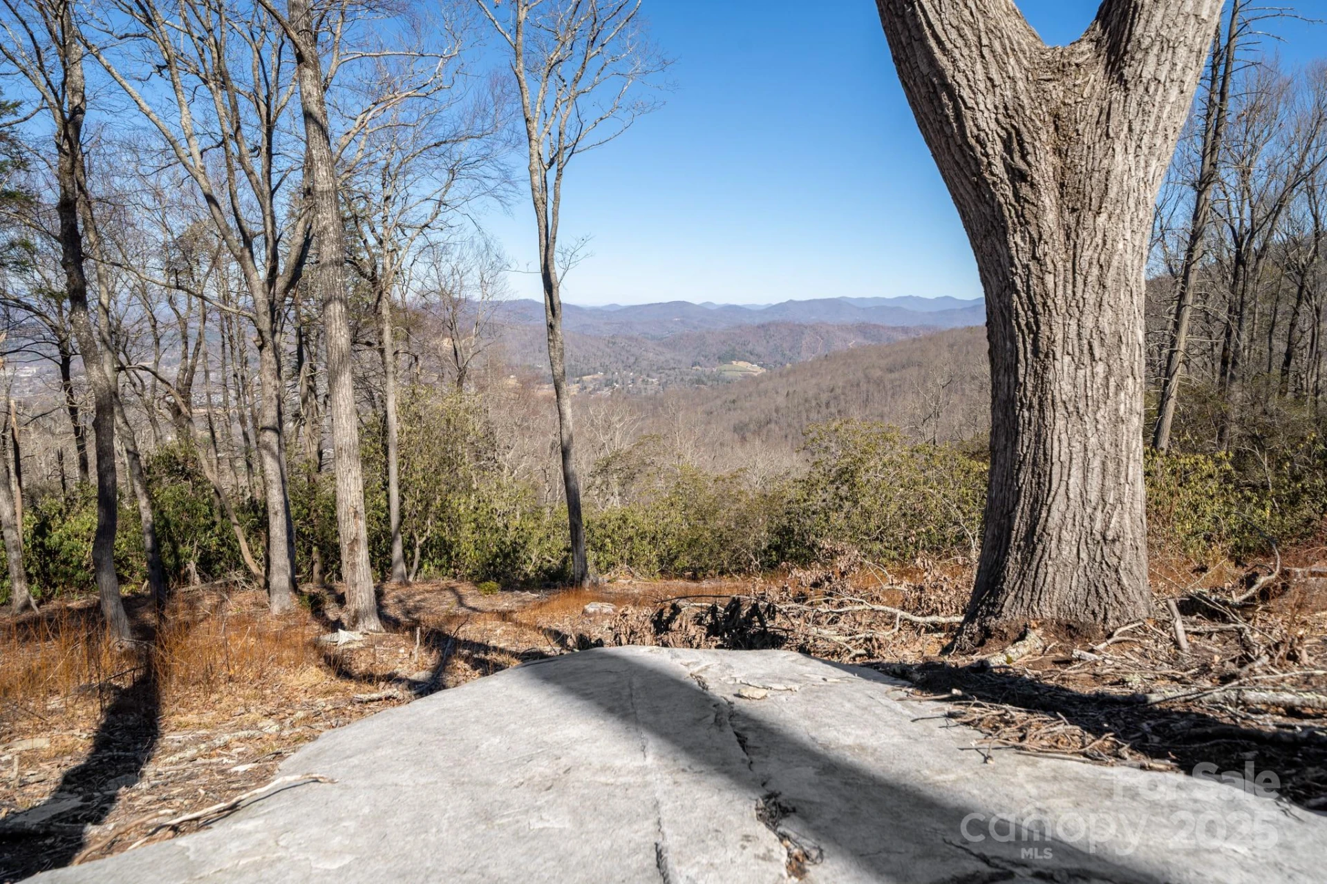 0000 East Garden Trail #13 - Photo 5