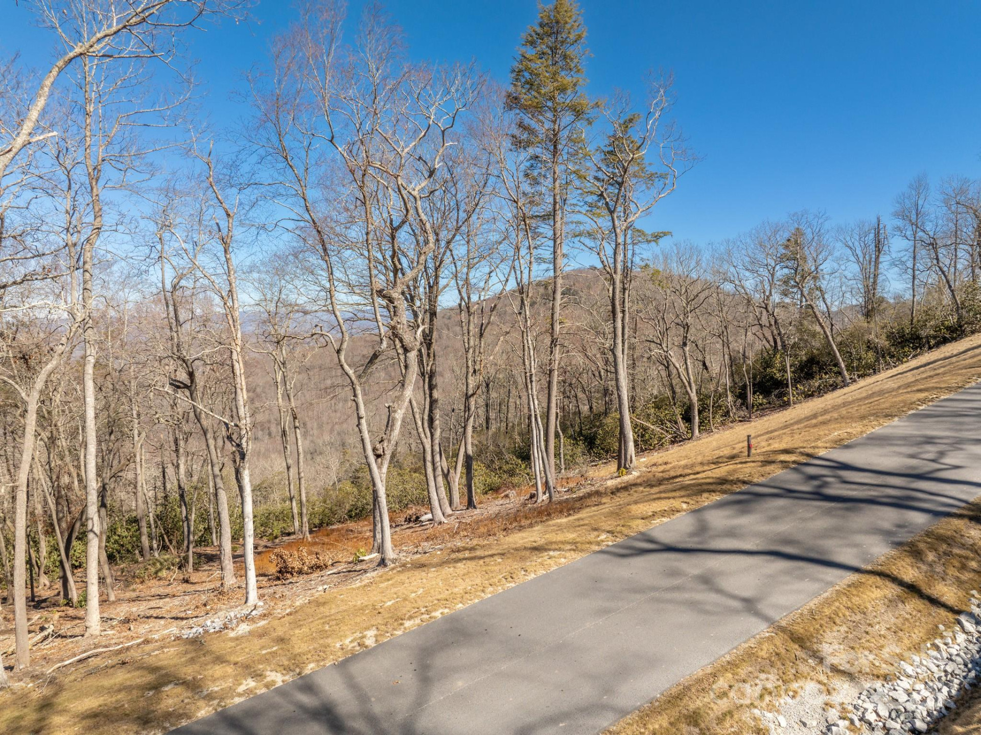 0000 East Garden Trail #13 - Photo 6