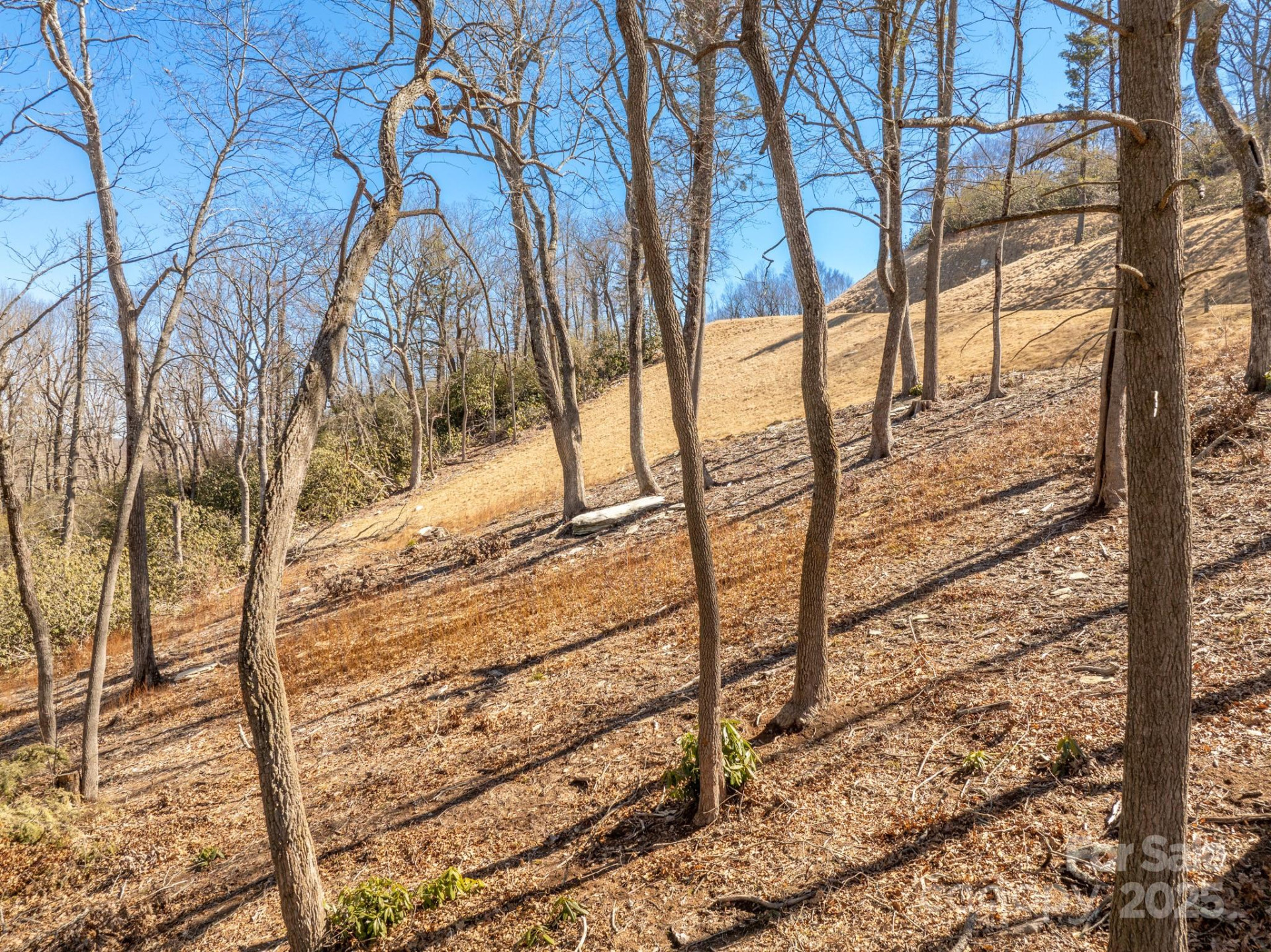 0000 East Garden Trail #13 - Photo 10