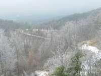 121 Arbra Mountain Way - Photo 3