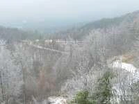 121 Arbra Mountain Way - Photo 3