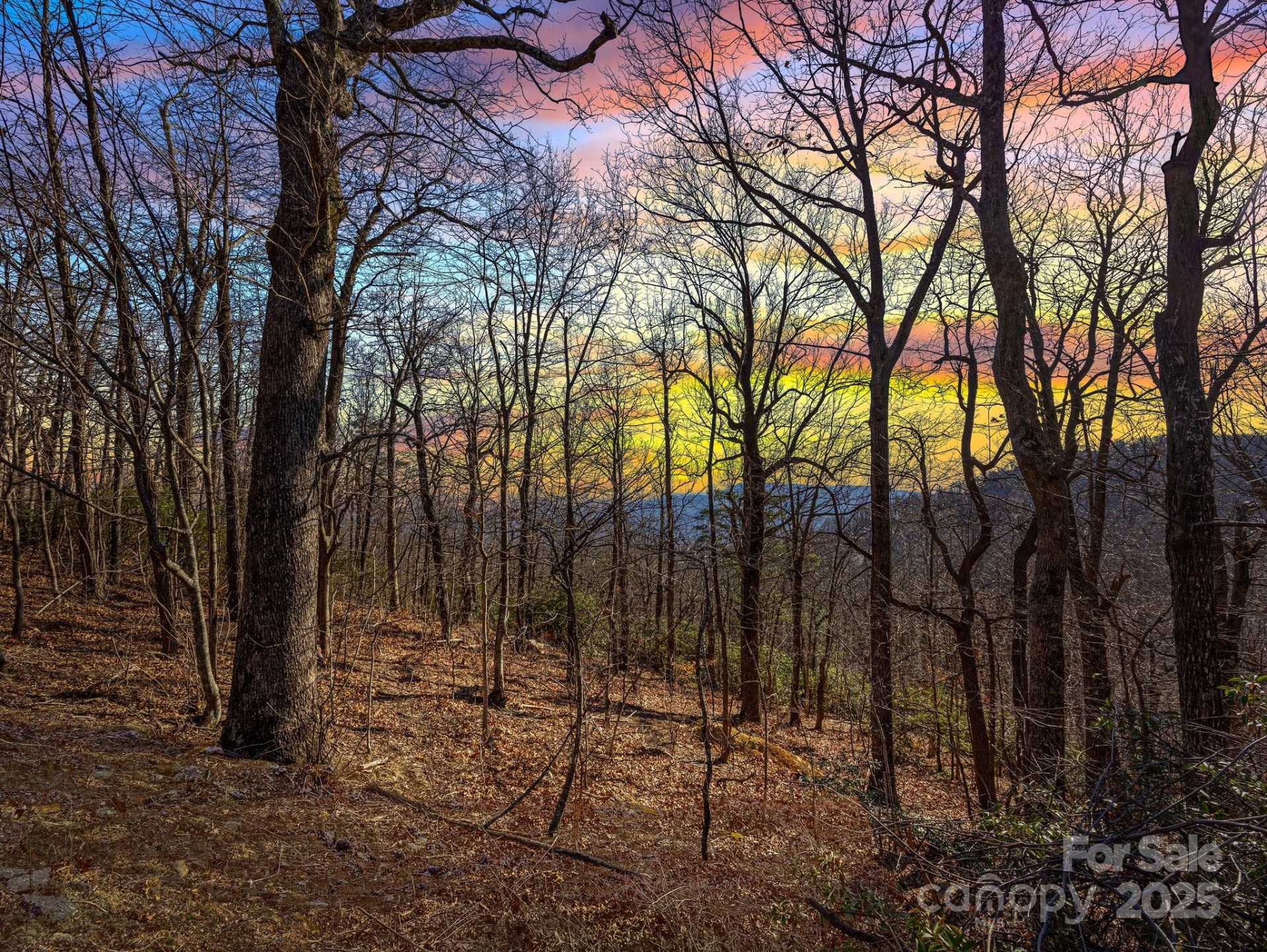 00 Morning Ride Drive #36