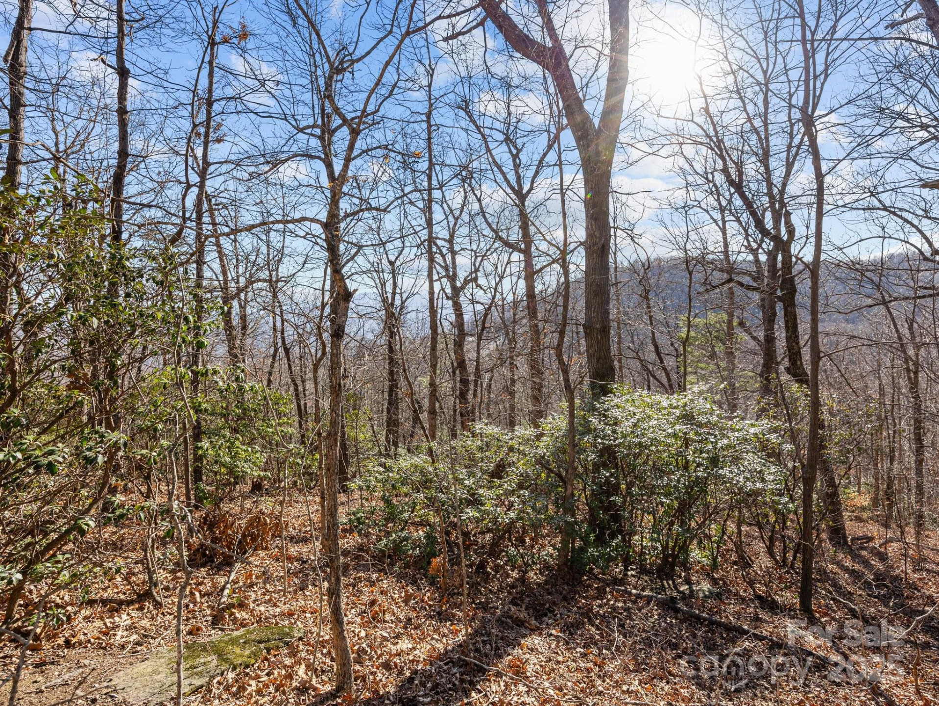 00 Morning Ride Drive #36 - Photo 11