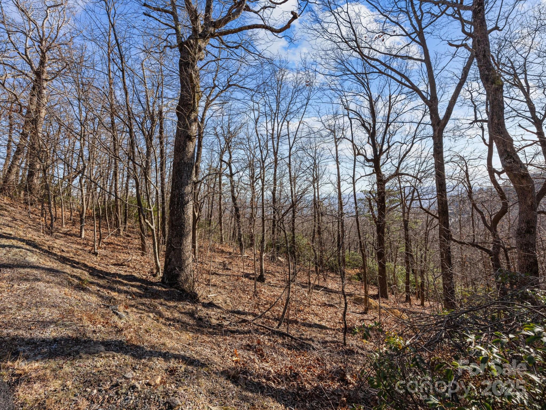 00 Morning Ride Drive #36 - Photo 12