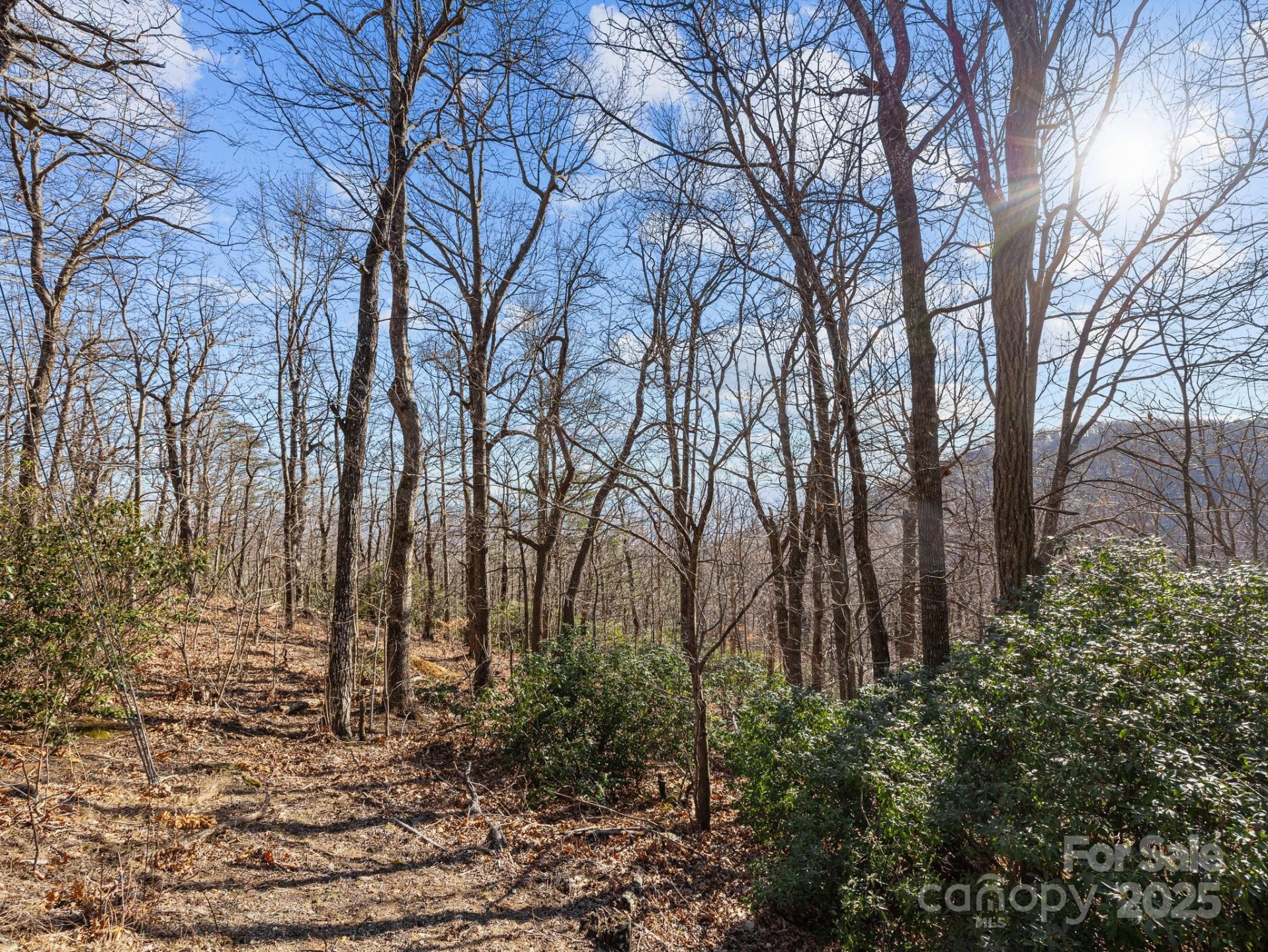 00 Morning Ride Drive #36 - Photo 5