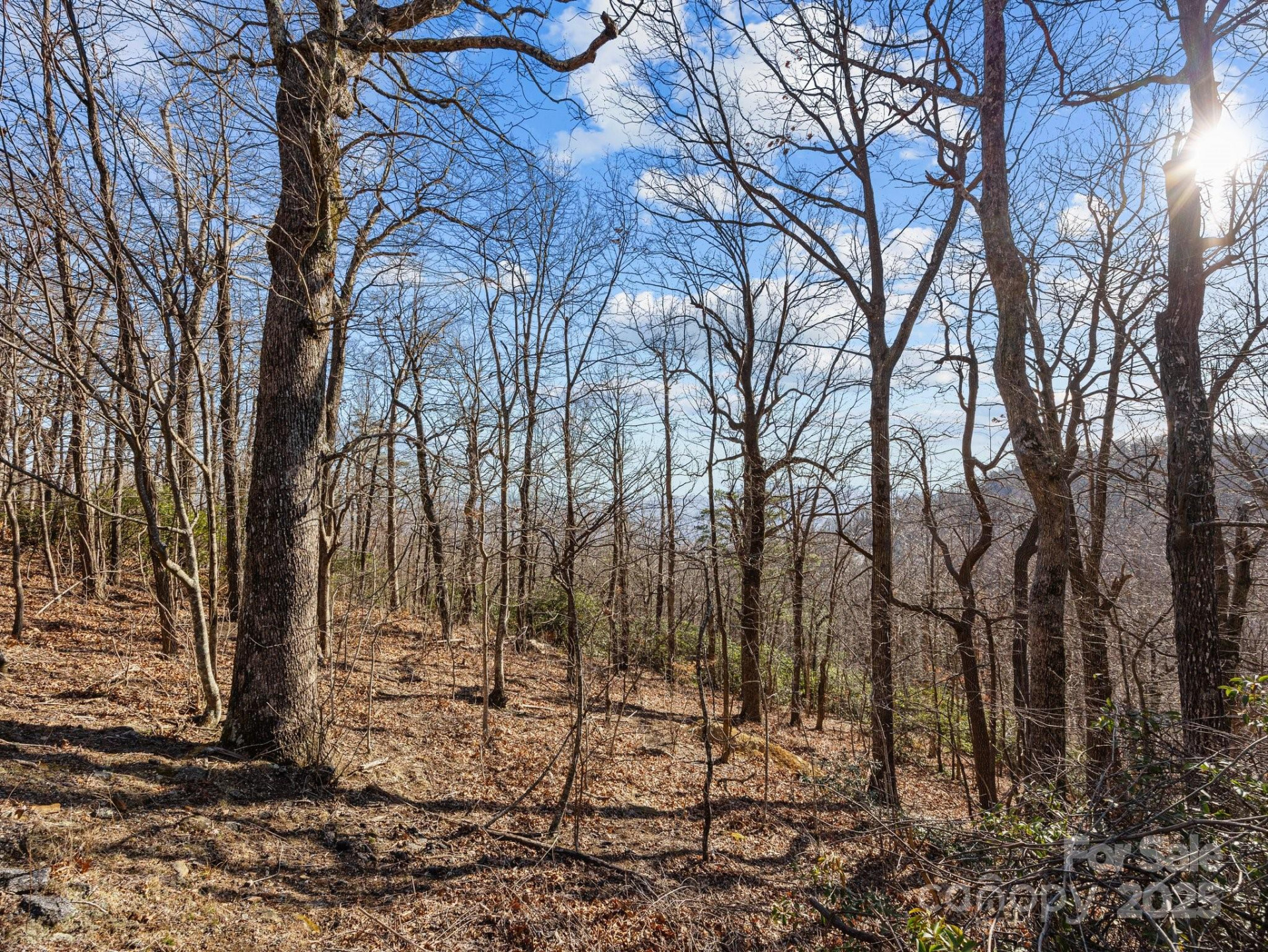 00 Morning Ride Drive #36 - Photo 10