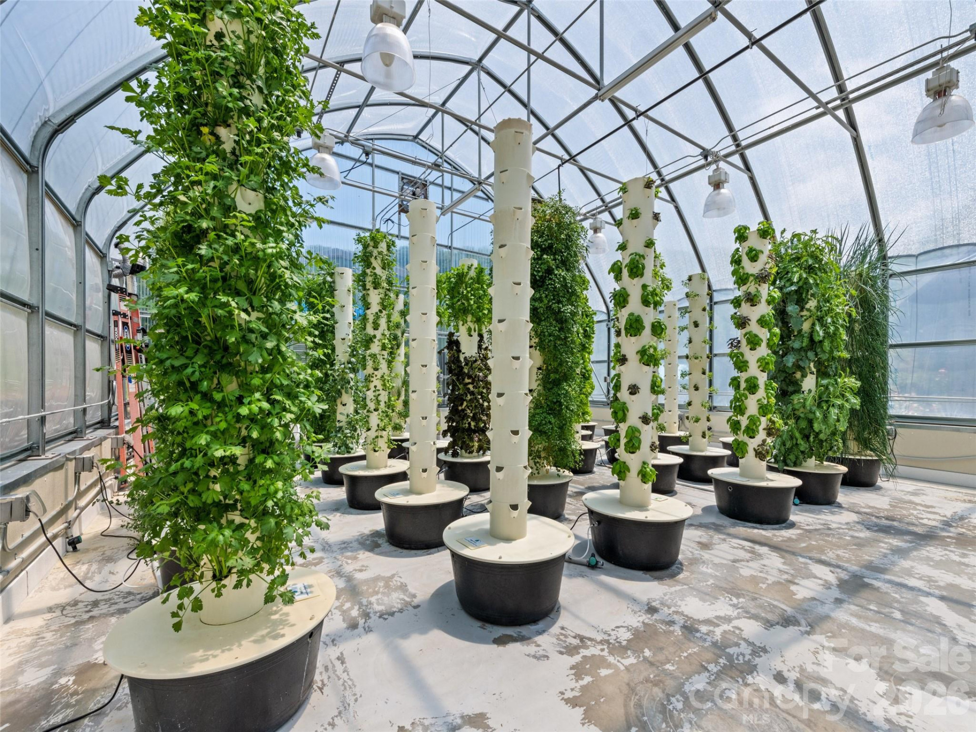 66 Bradley Street - Photo 30