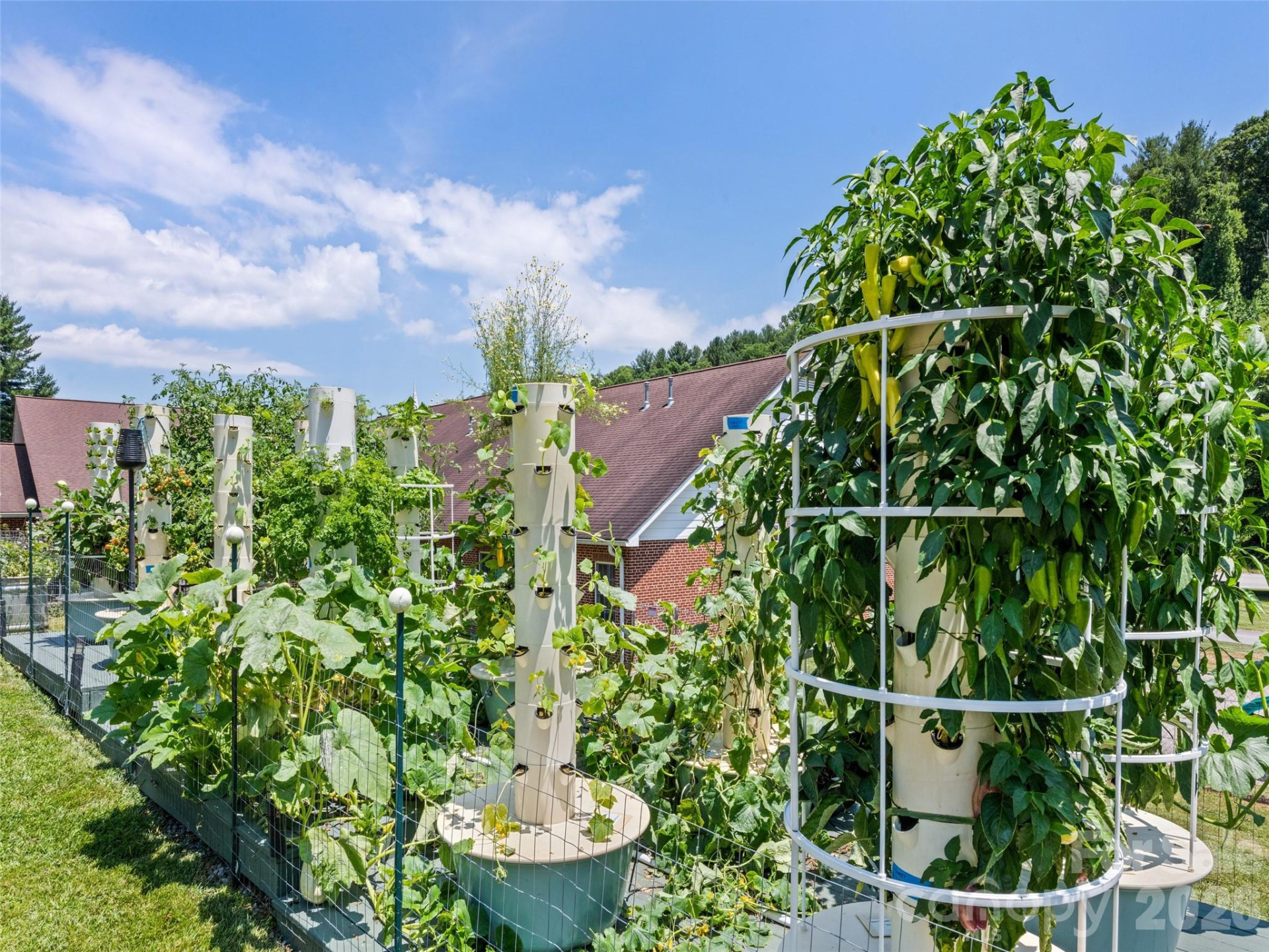 66 Bradley Street - Photo 33