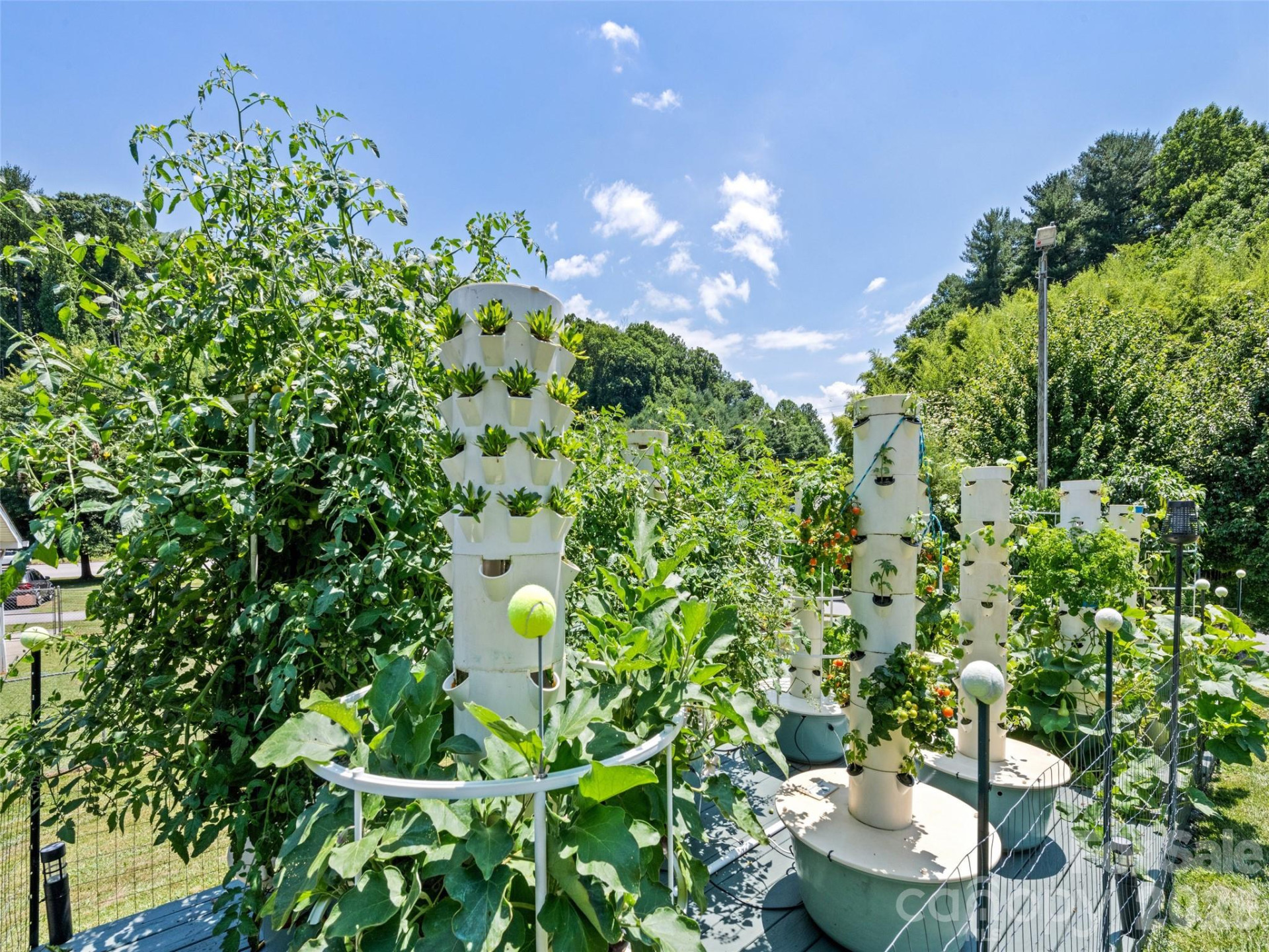 66 Bradley Street - Photo 34