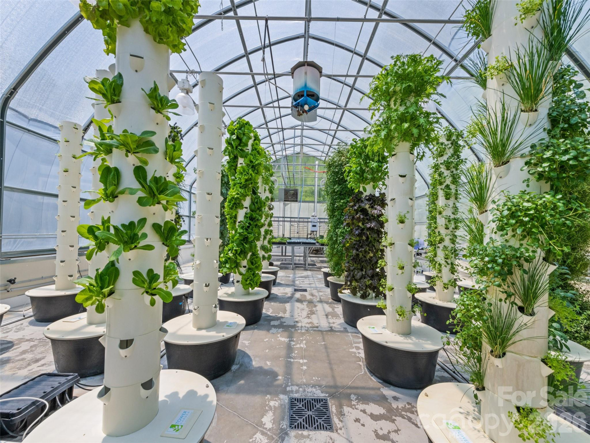 66 Bradley Street - Photo 36