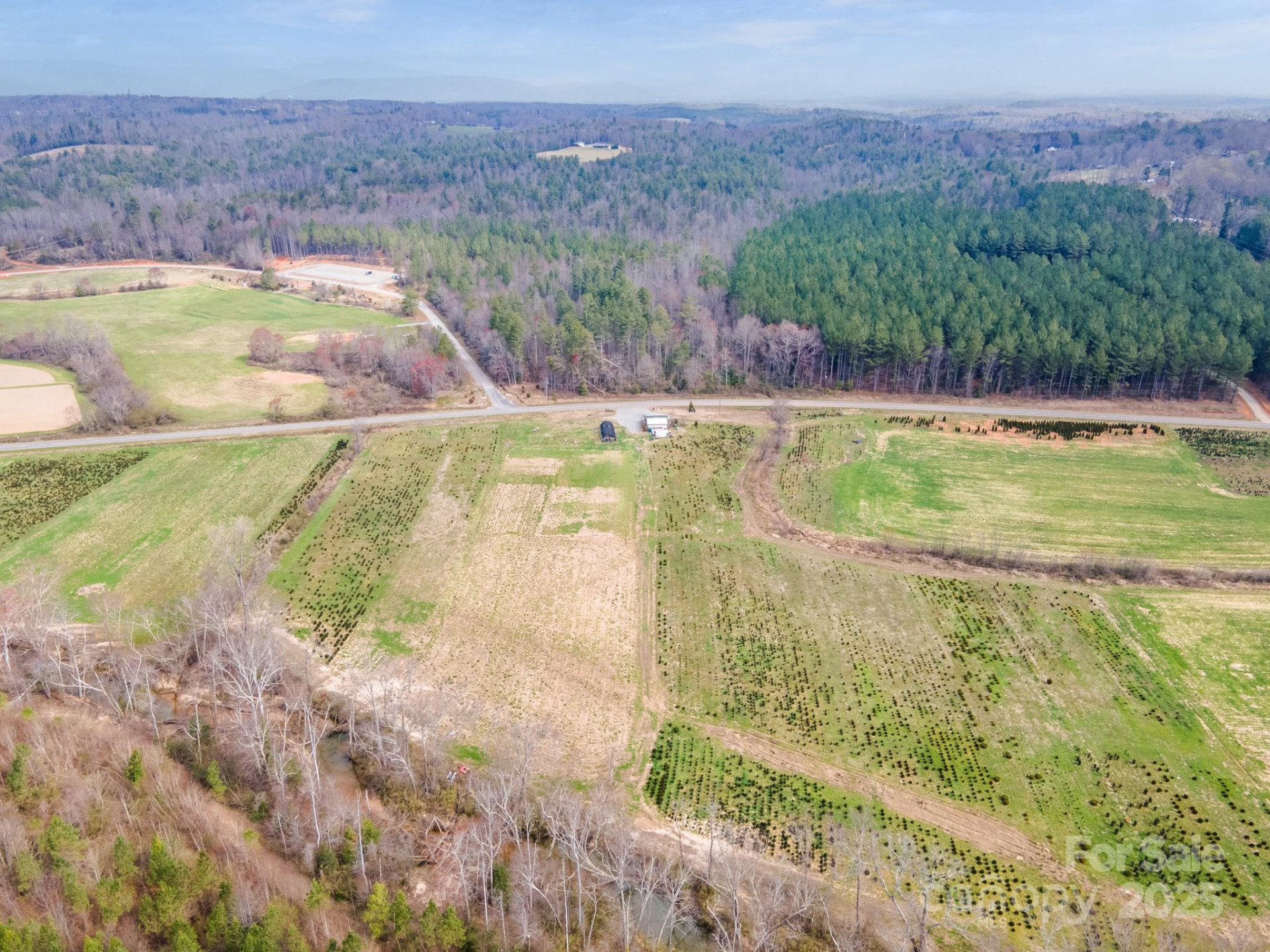 807 NC 126 Highway - Photo 4