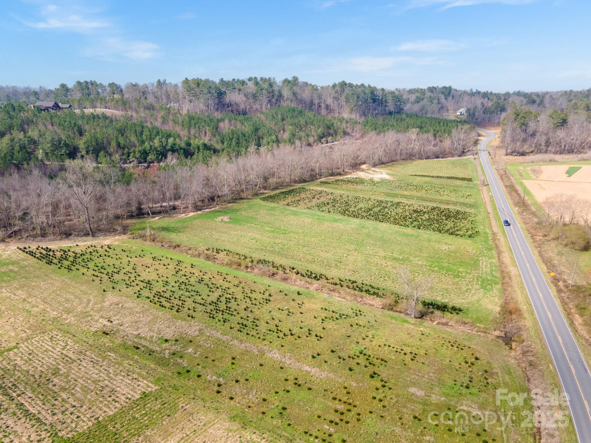807 NC 126 Highway - Photo 8