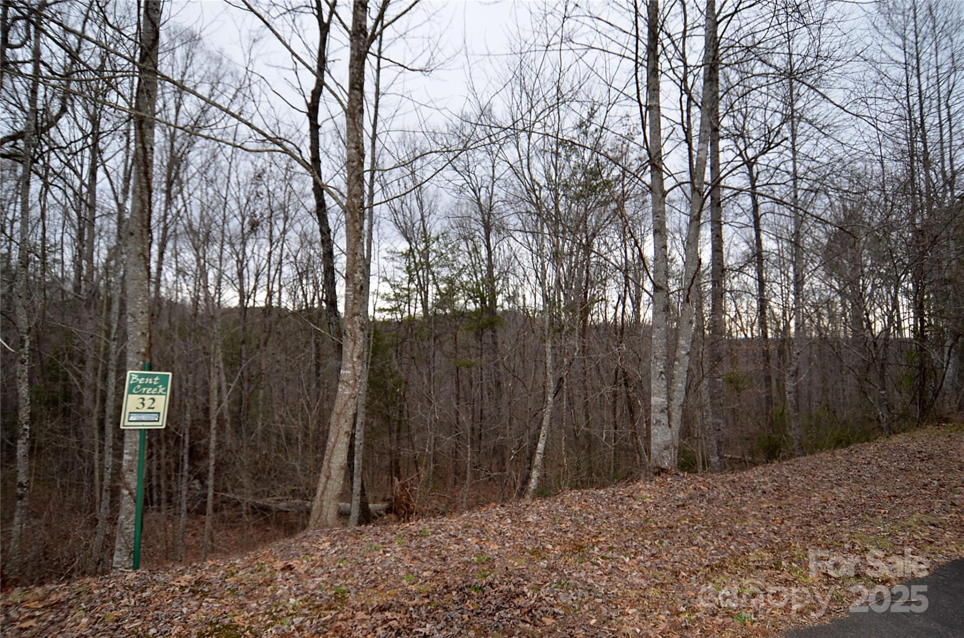 V/L #32 Bent Creek Drive #32 - Photo 2