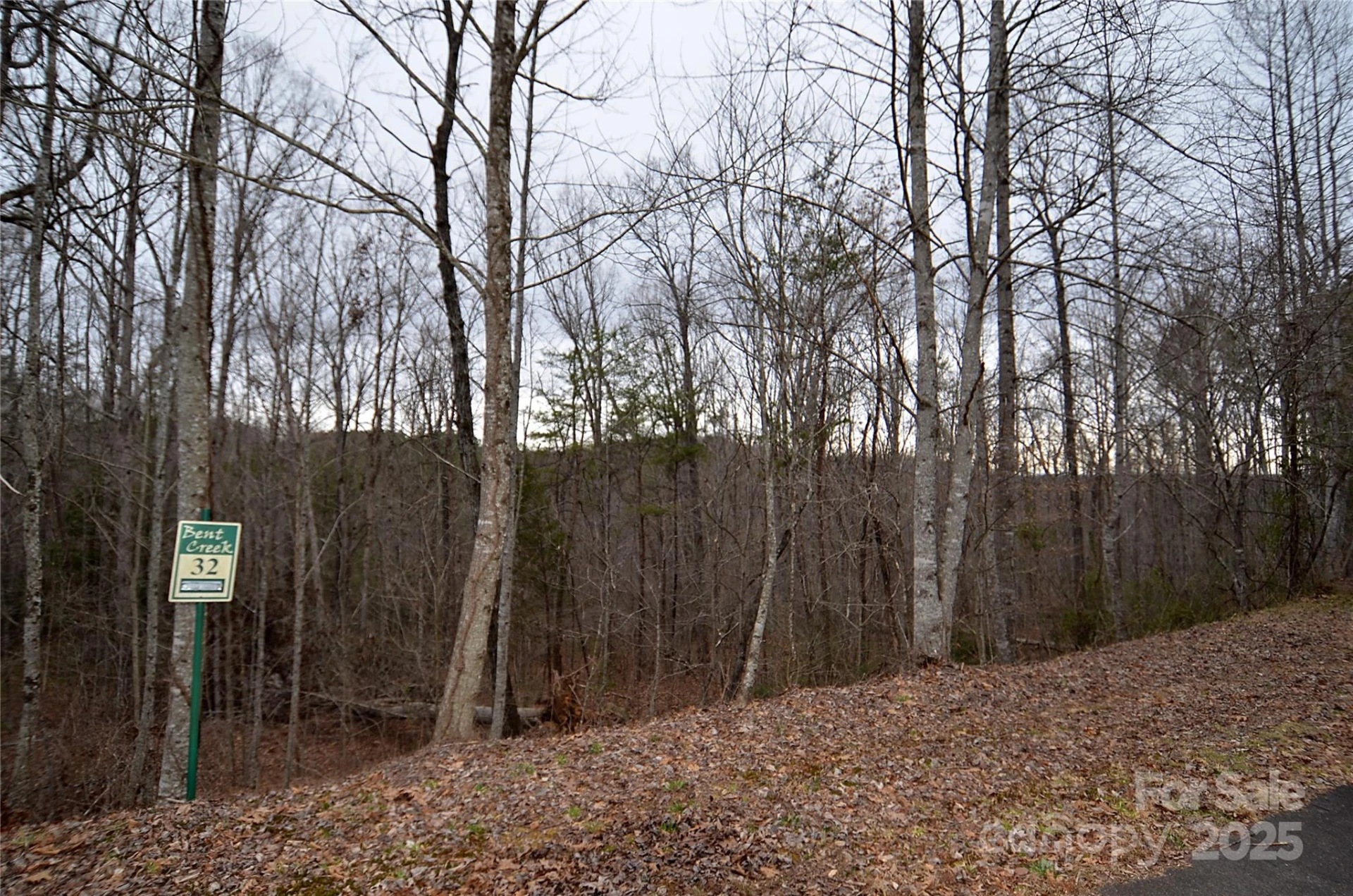 V/L #32 Bent Creek Drive #32 - Photo 2