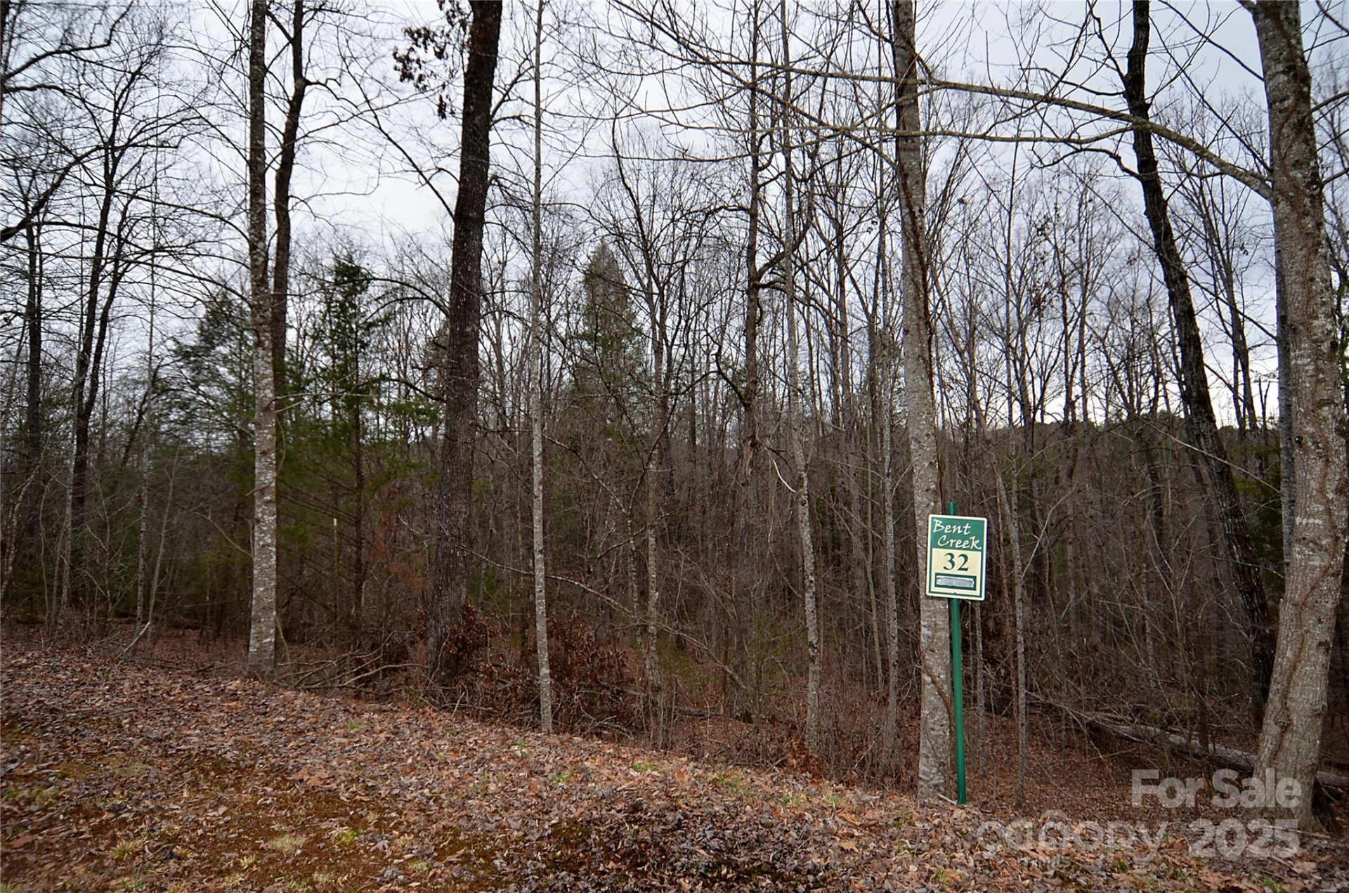 V/L #32 Bent Creek Drive #32 - Photo 3