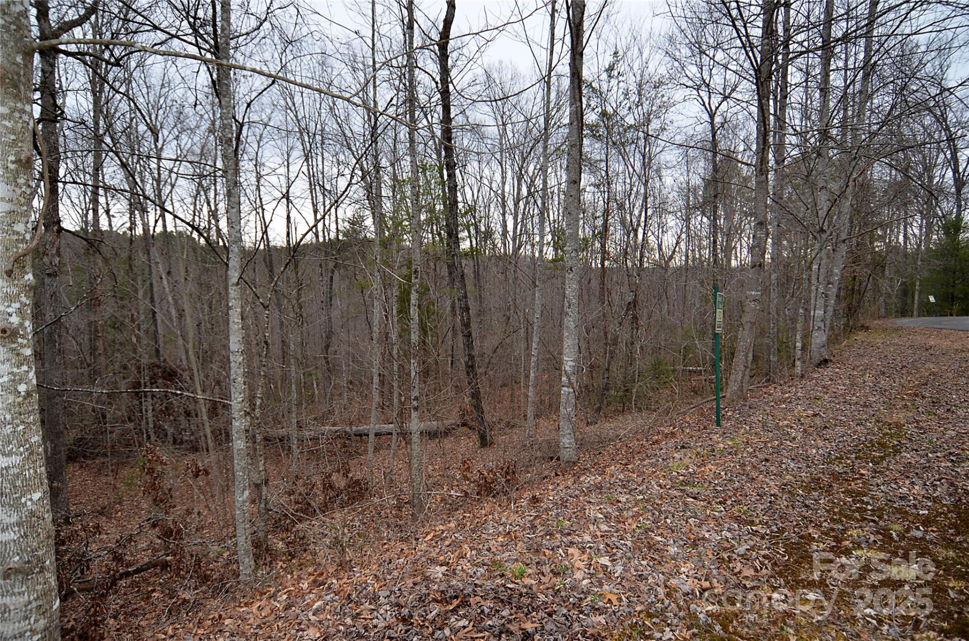 V/L #32 Bent Creek Drive #32 - Photo 4