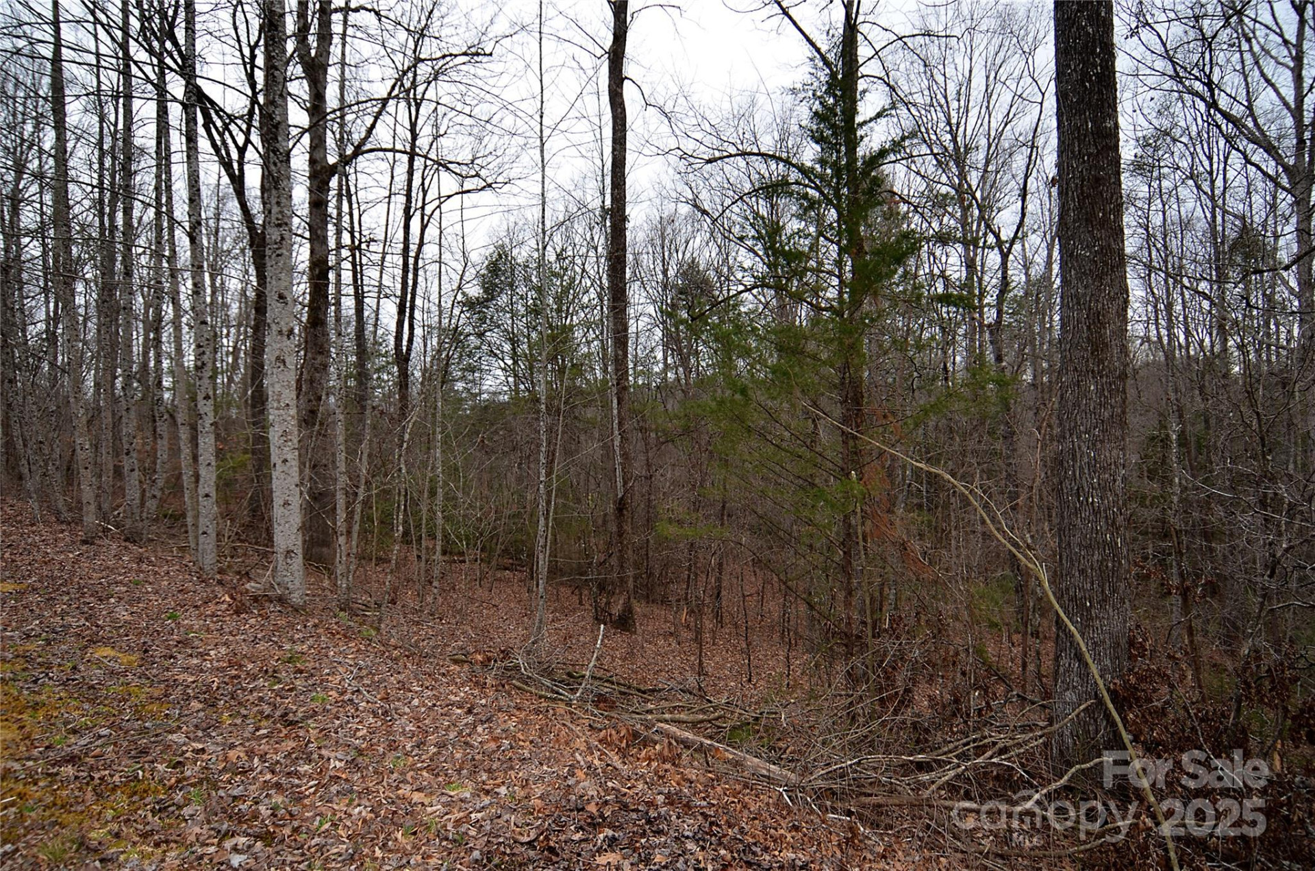 V/L #32 Bent Creek Drive #32 - Photo 5