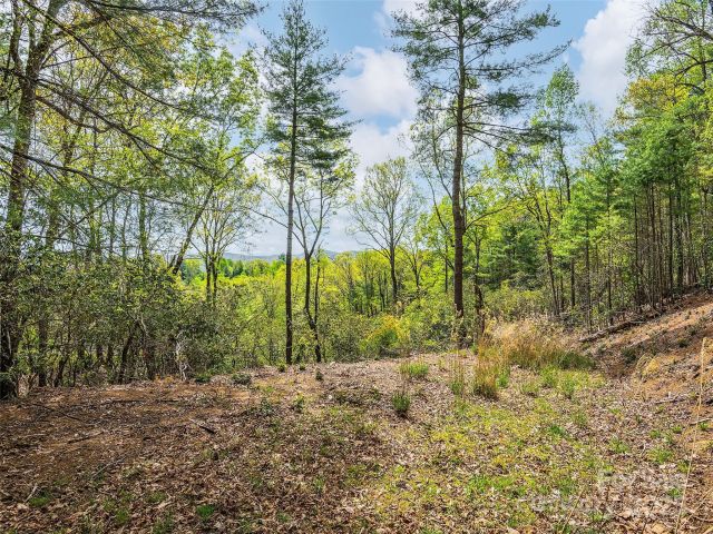 Lot #56 Winterberry Drive