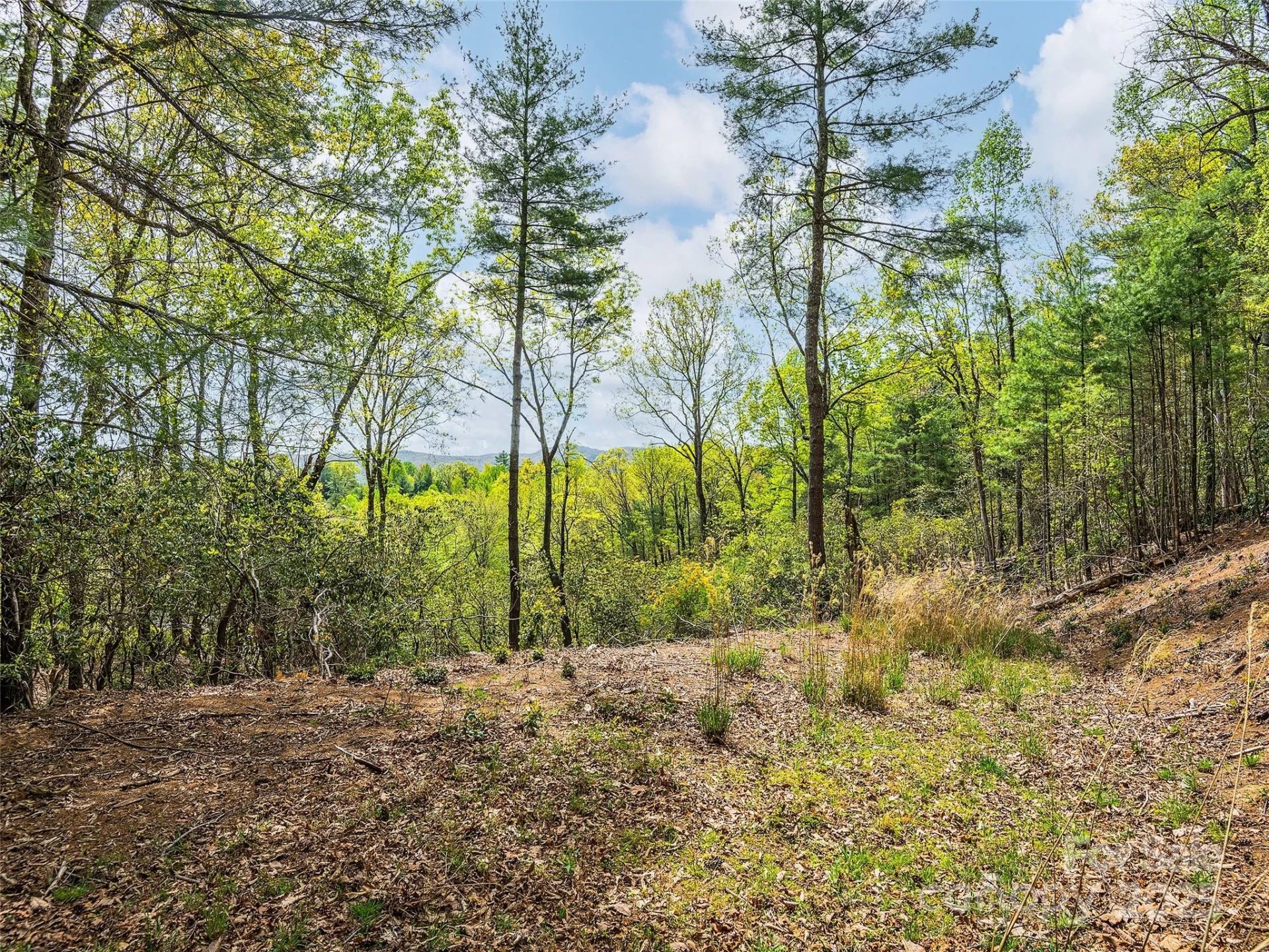 Lot #56 Winterberry Drive