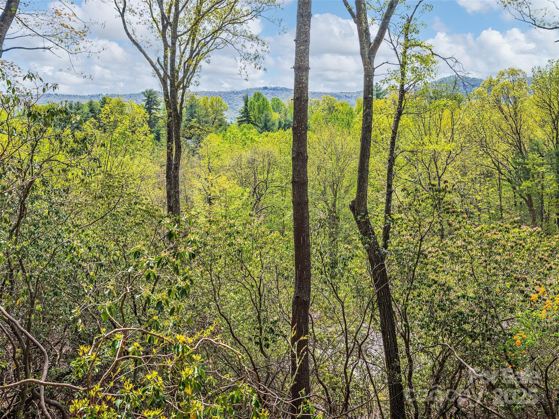 Lot #56 Winterberry Drive - Photo 2